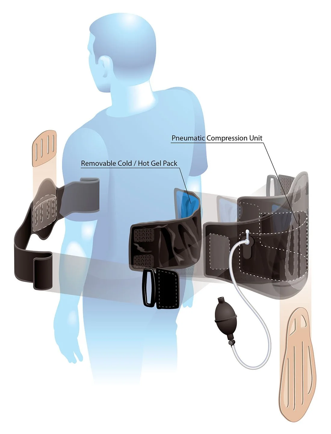 Polygel Back Support Diagram - Copy.jpg