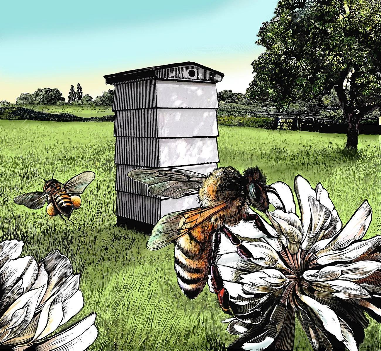 bees new.jpg