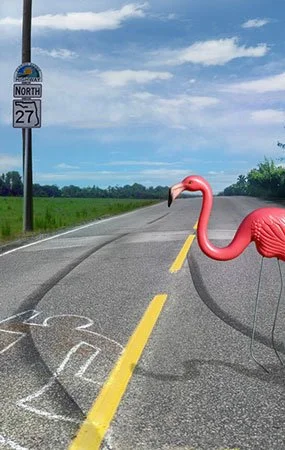 May 29 "Nat'l Pink Flamingo Day", Dominick Finelle