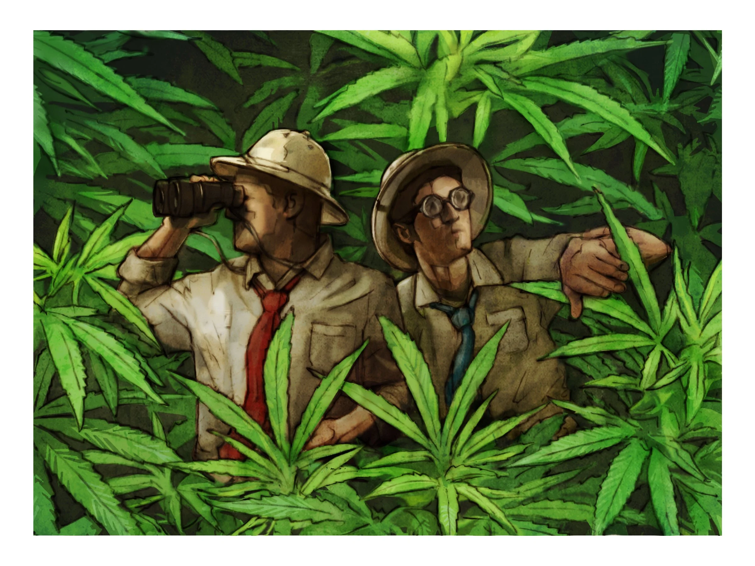 CO_Wink_Cannibas_Final2 - Copy - Copy.jpg