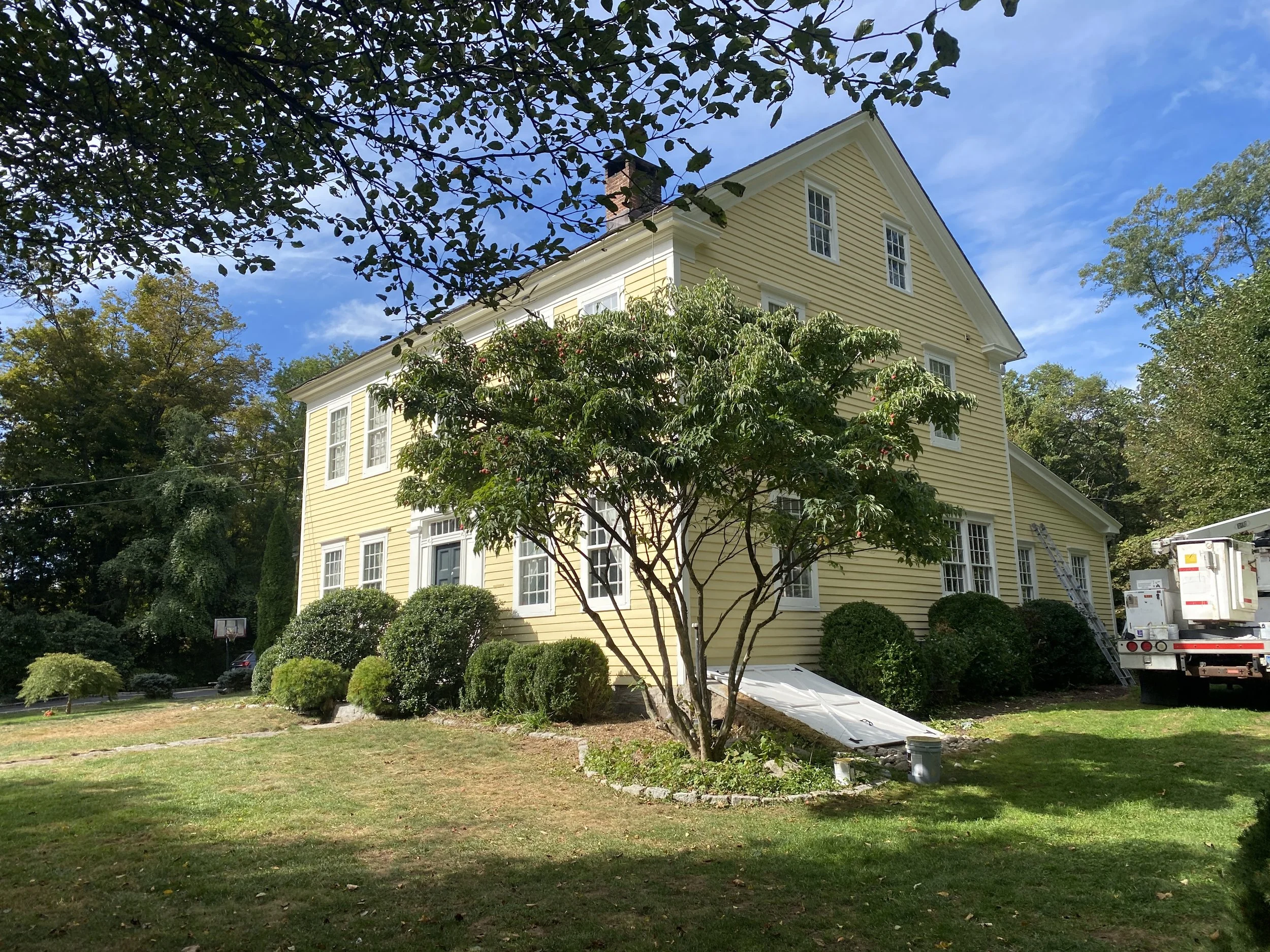 Yellow house with multiple windows surrounded by green bushes and trees on a sunny day.