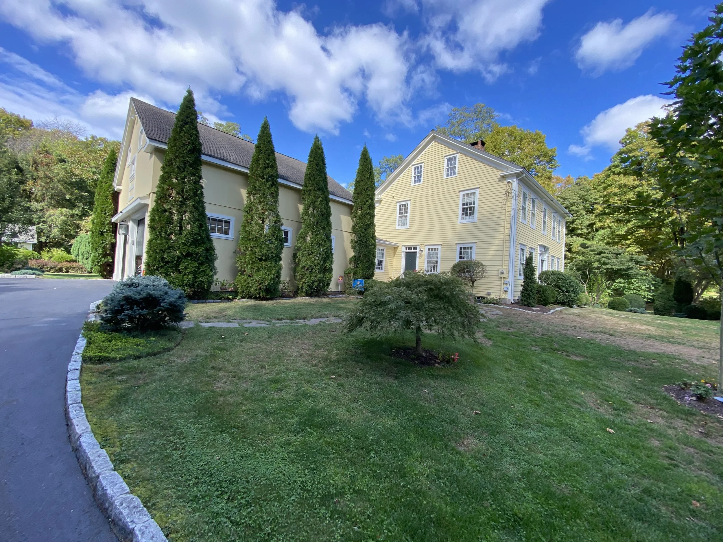 View of a yellow house and a beige garage with evergreen trees on the left and a lawn with small trees and shrubs, under a partly cloudy sky.