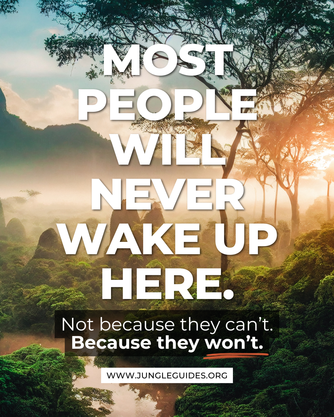 A lush jungle scene with trees and mist, featuring sunrise or sunset light, overlaid with inspirational quote: 'Most people will never wake up here. Not because they can't. Because they won't.'