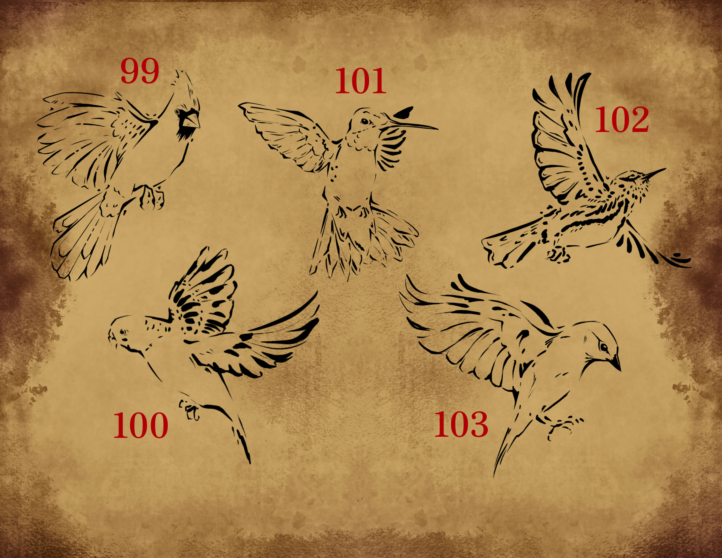 IMG_0172.PNG