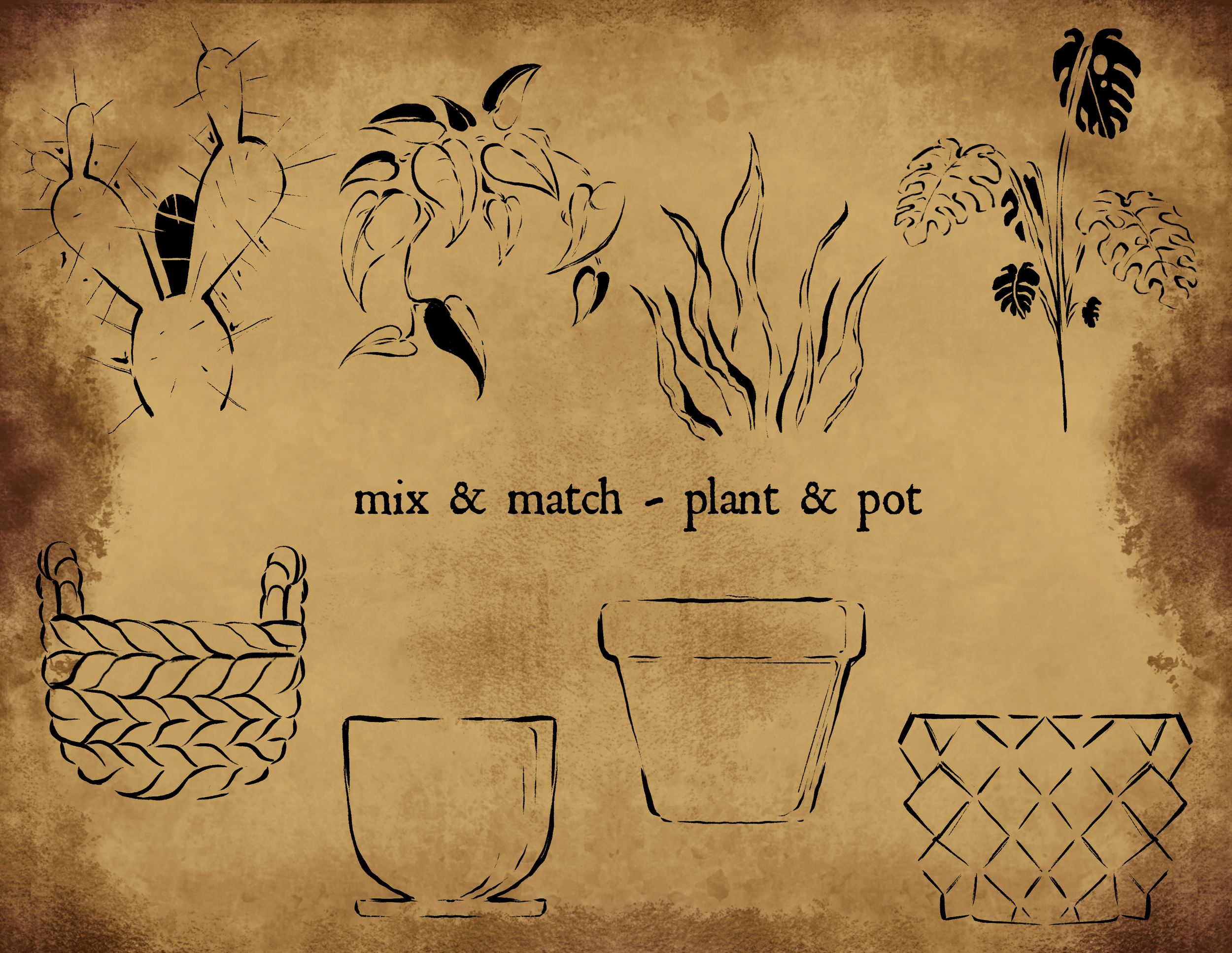 garden plants.PNG