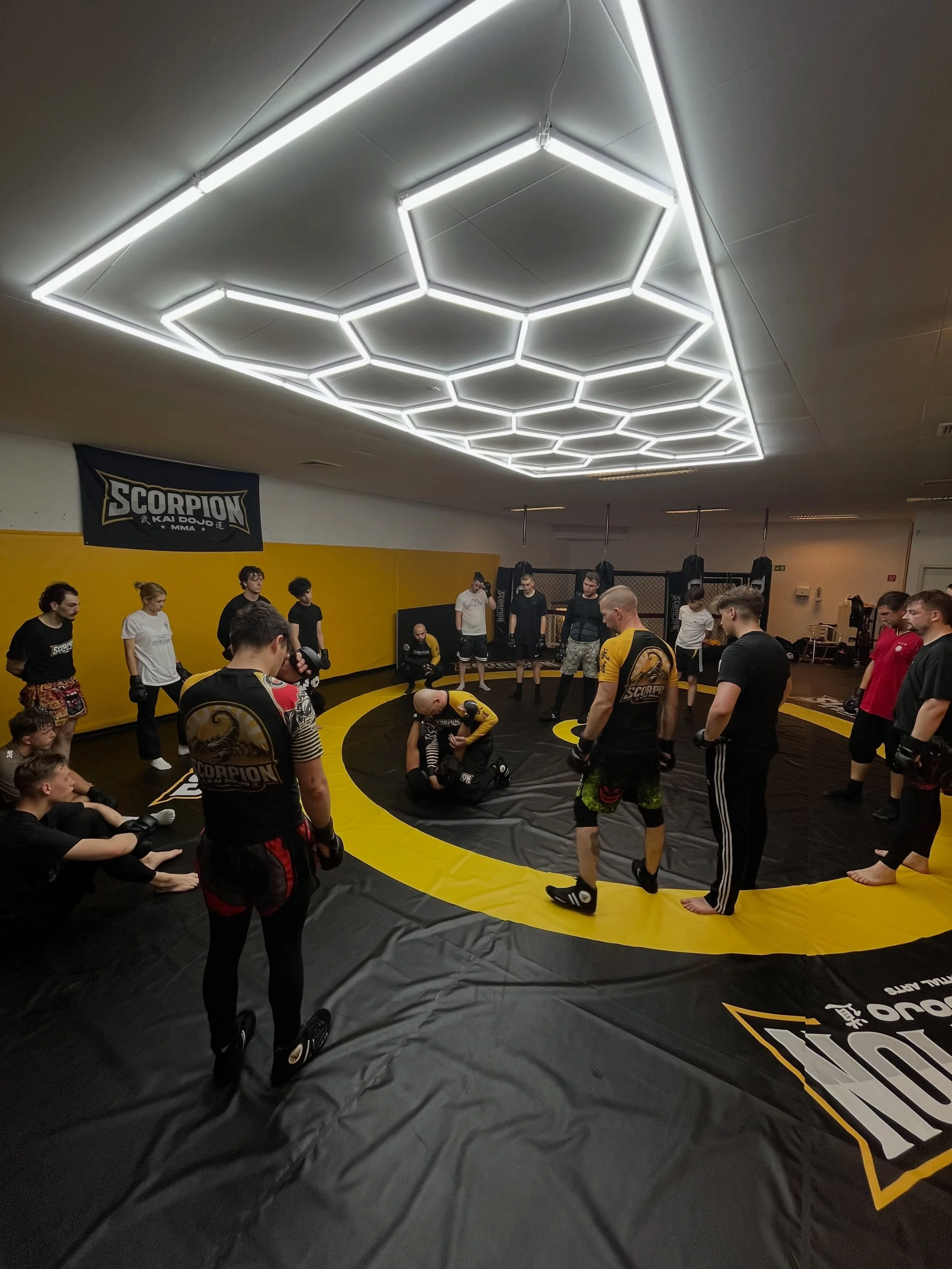 Grappling for MMA Basics 🤼&zwj;♂️🥋🥊
#mma #mixedmartialarts #mmatraining #menden #sauerland