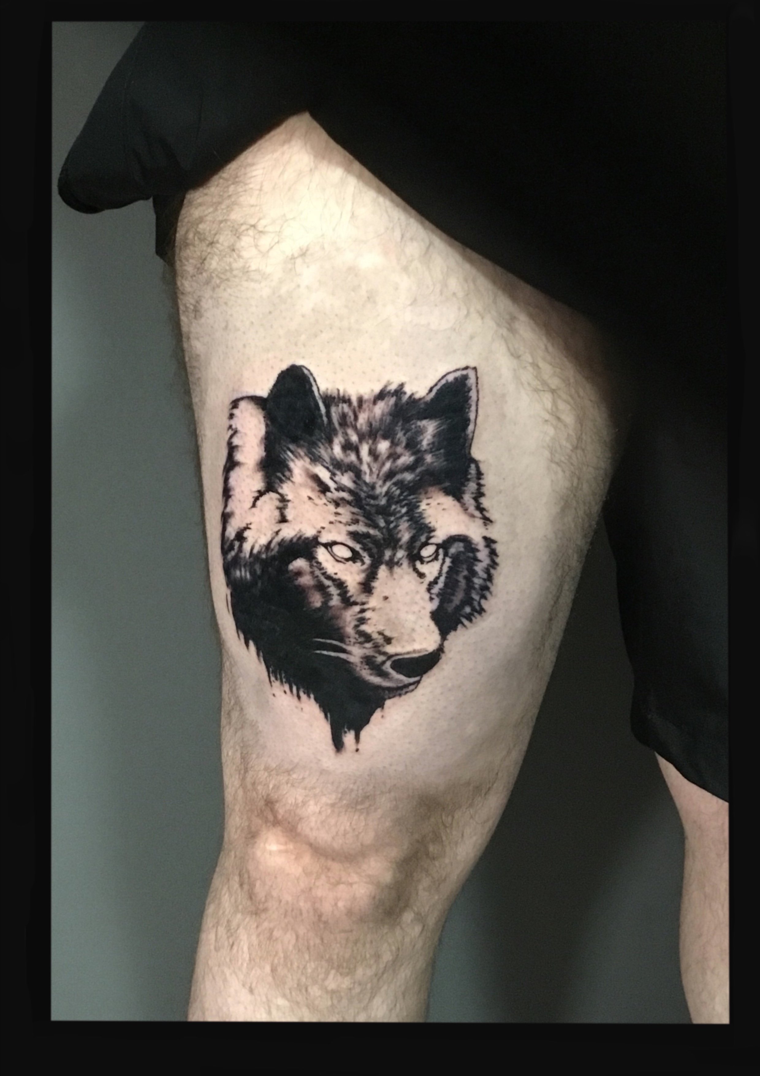 dream wolf.jpeg
