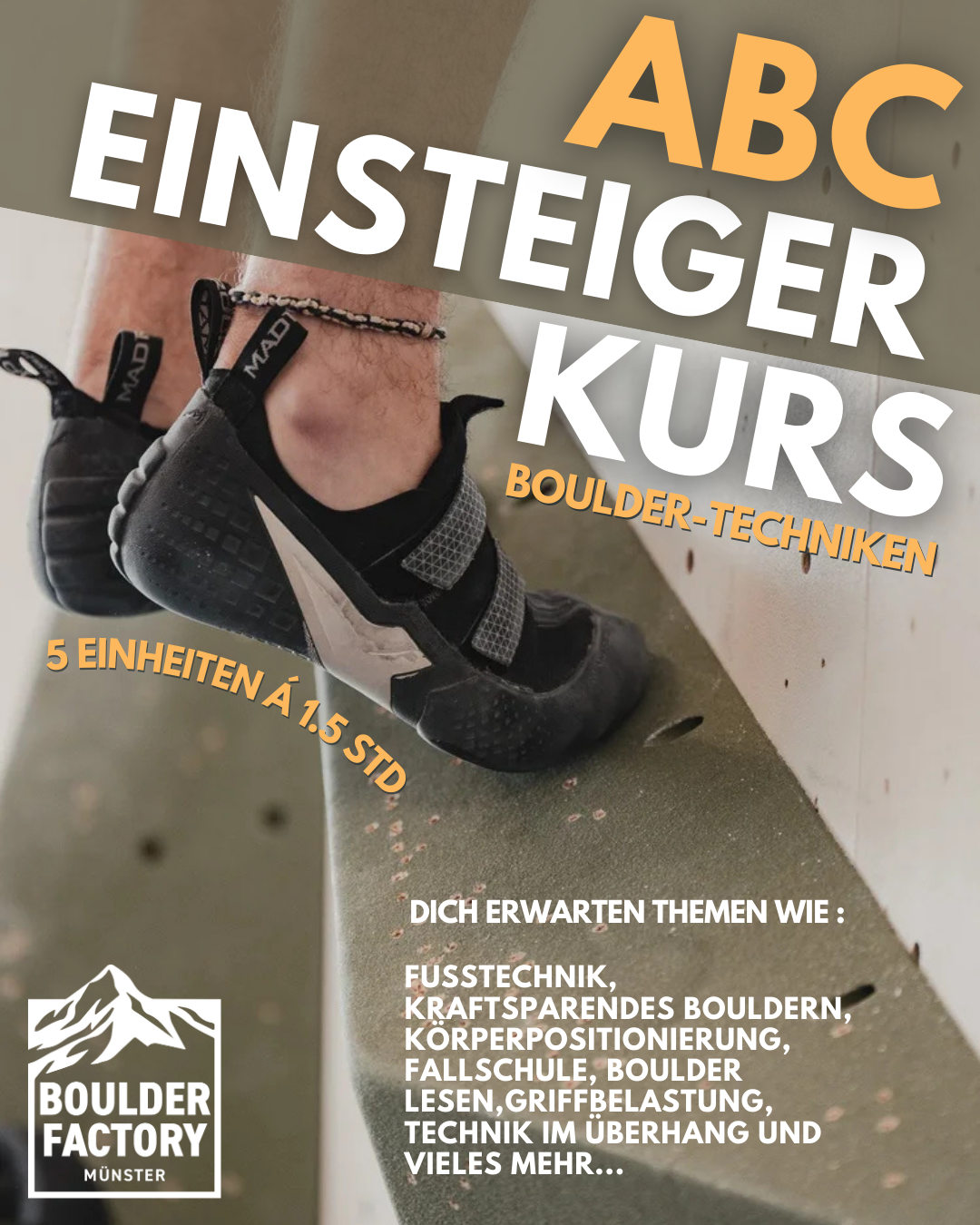 Instagramm Beitrag EInsteigerkurse.png