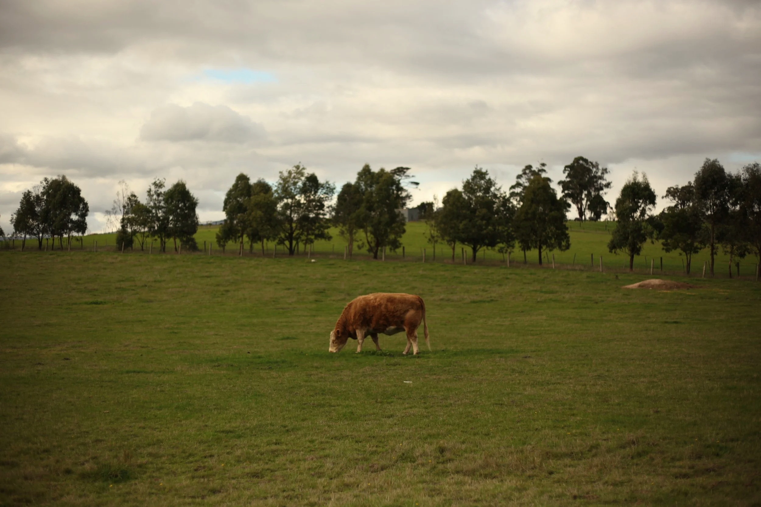 IMG_9002.png