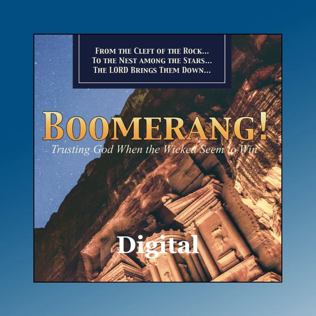 Boomerang! (Digital Edition)