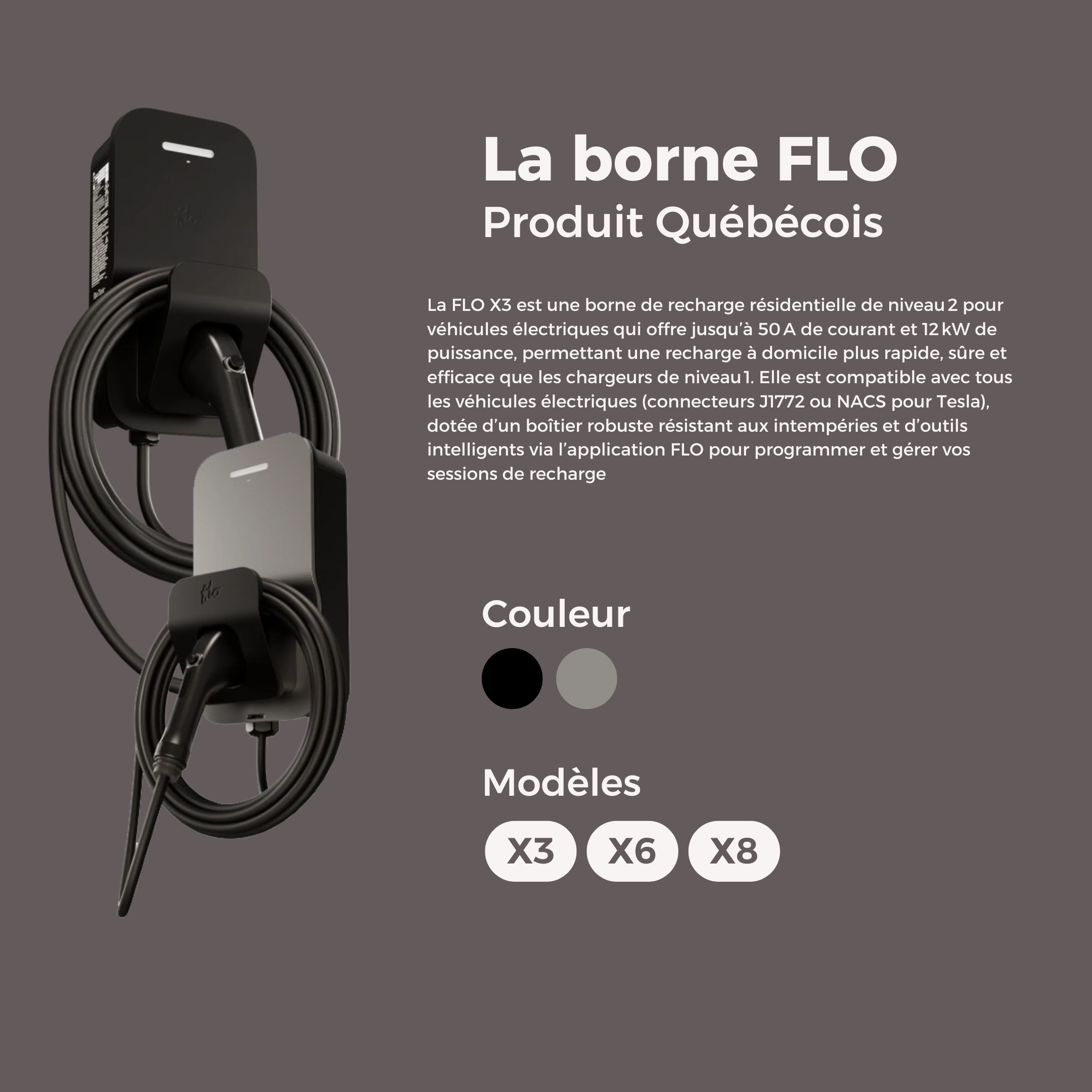 Borne de recharge pour véhicule électrique flo X3 X6 X8