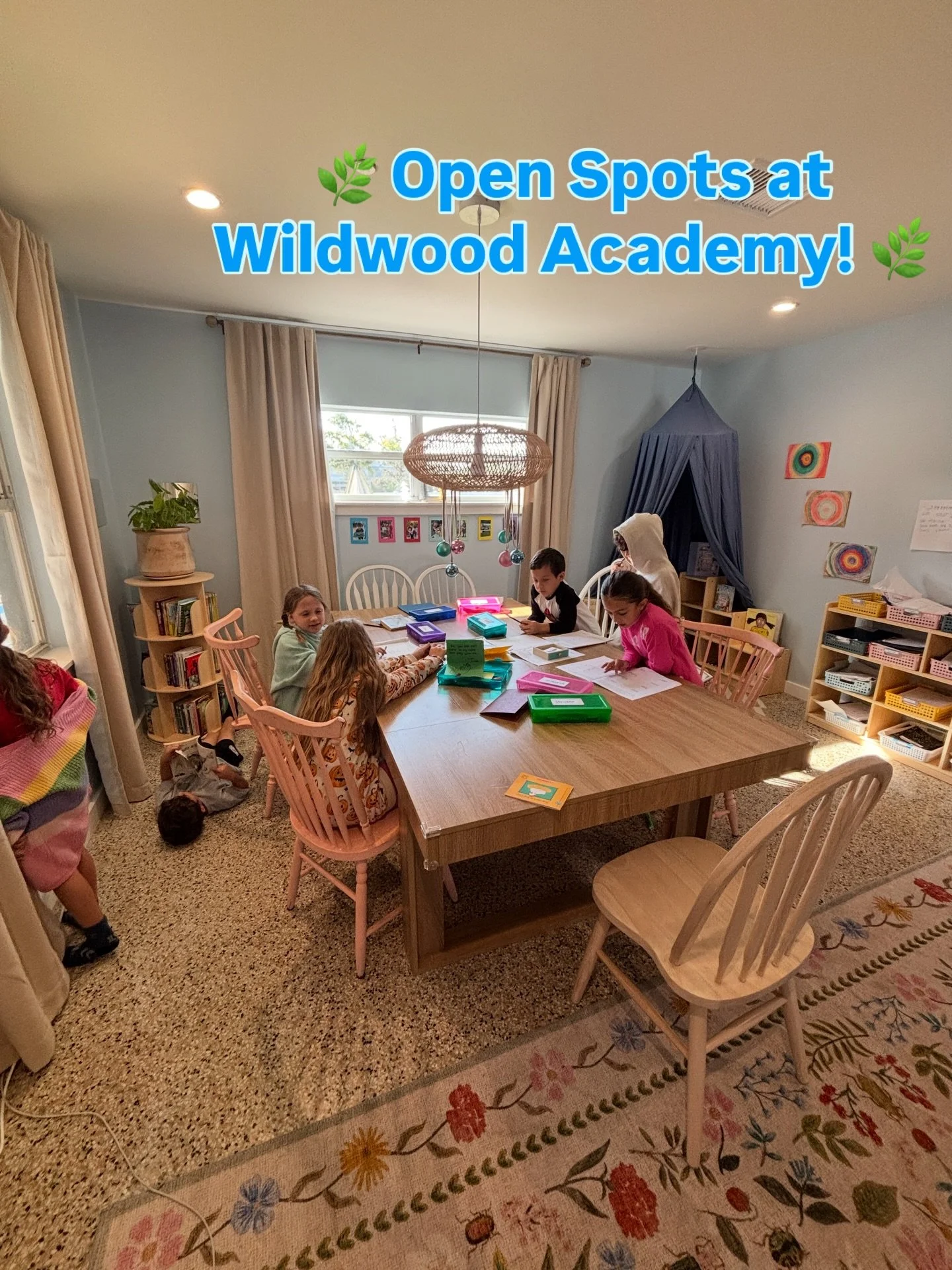 🌿 Open Spots at Wildwood Academy! 🌿 Where Curious Minds &amp; Wild Hearts Grow
We have a few rare openings for January and would love to welcome new families into our Wildwood community!
✨ Available Spots
* 1 space for a 1st or 2nd grade student
* 