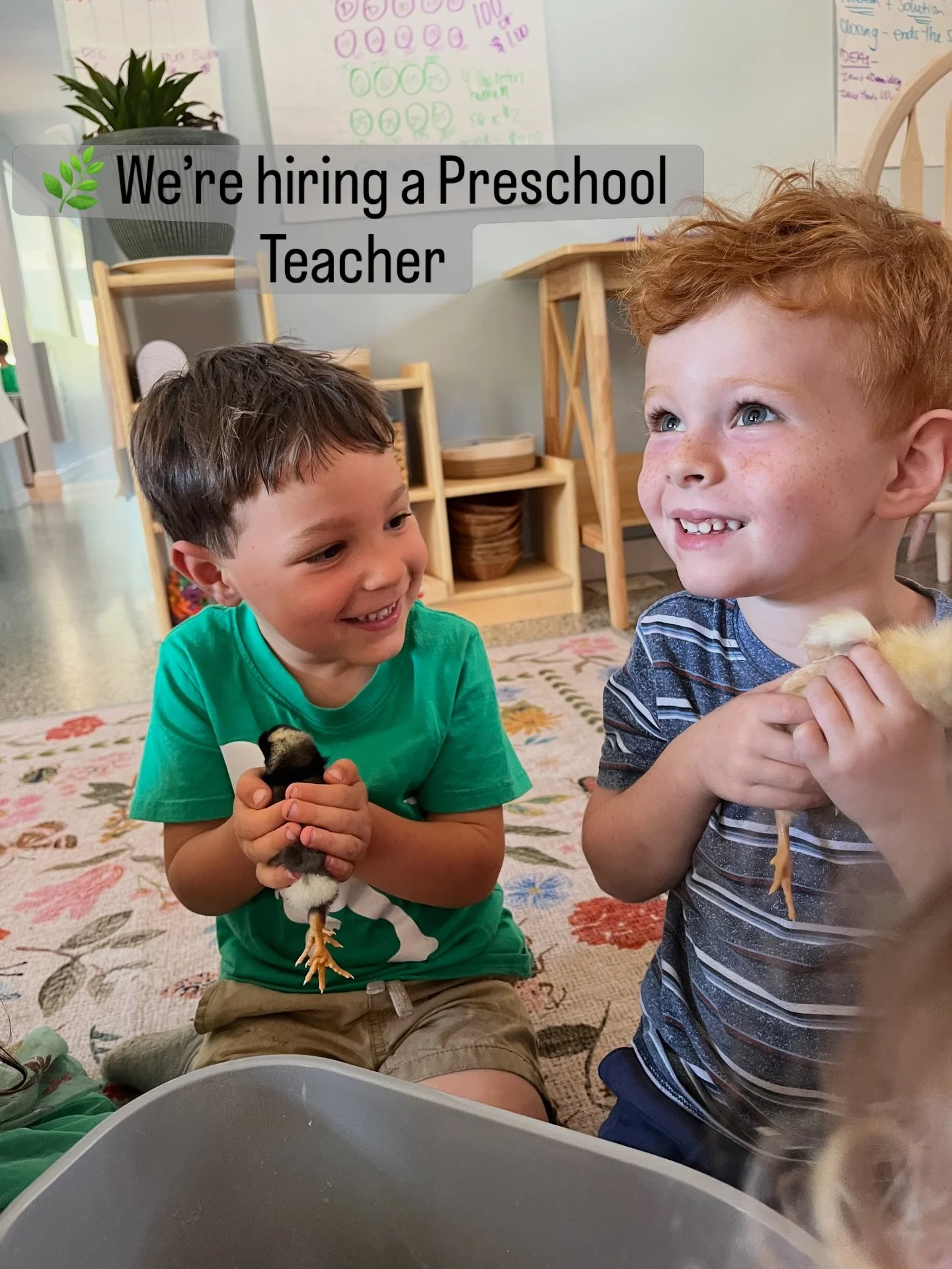 The early years matter deeply. 🌱

We&rsquo;re looking for a teacher who sees the magic in childhood&mdash;
who values curiosity, connection, and the joy of learning through play.

If this sounds like you (or someone you love), we would be honored to