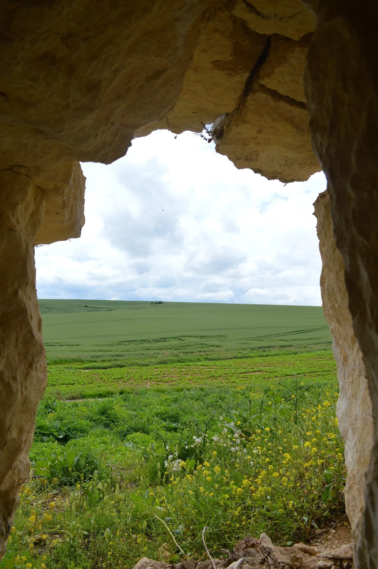 view from cave looking onto lush green field in daytime