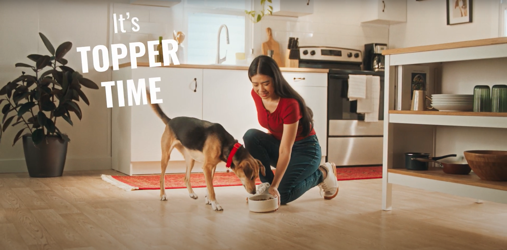 Dog Food Commercial Lighting