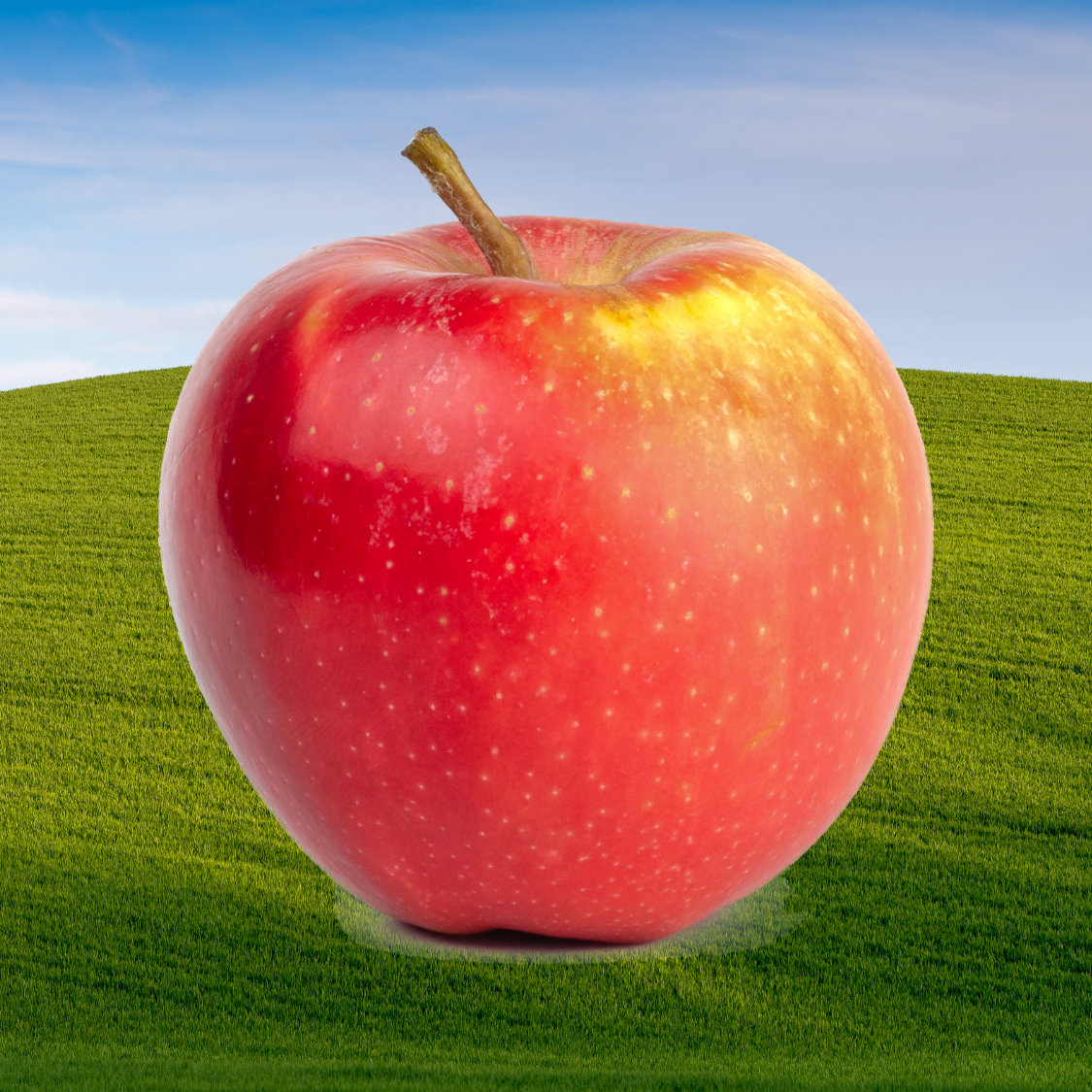 Feeling lost is part of the journey