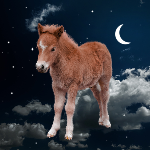 The necessary struggle of writing (don’t let AI think for you)