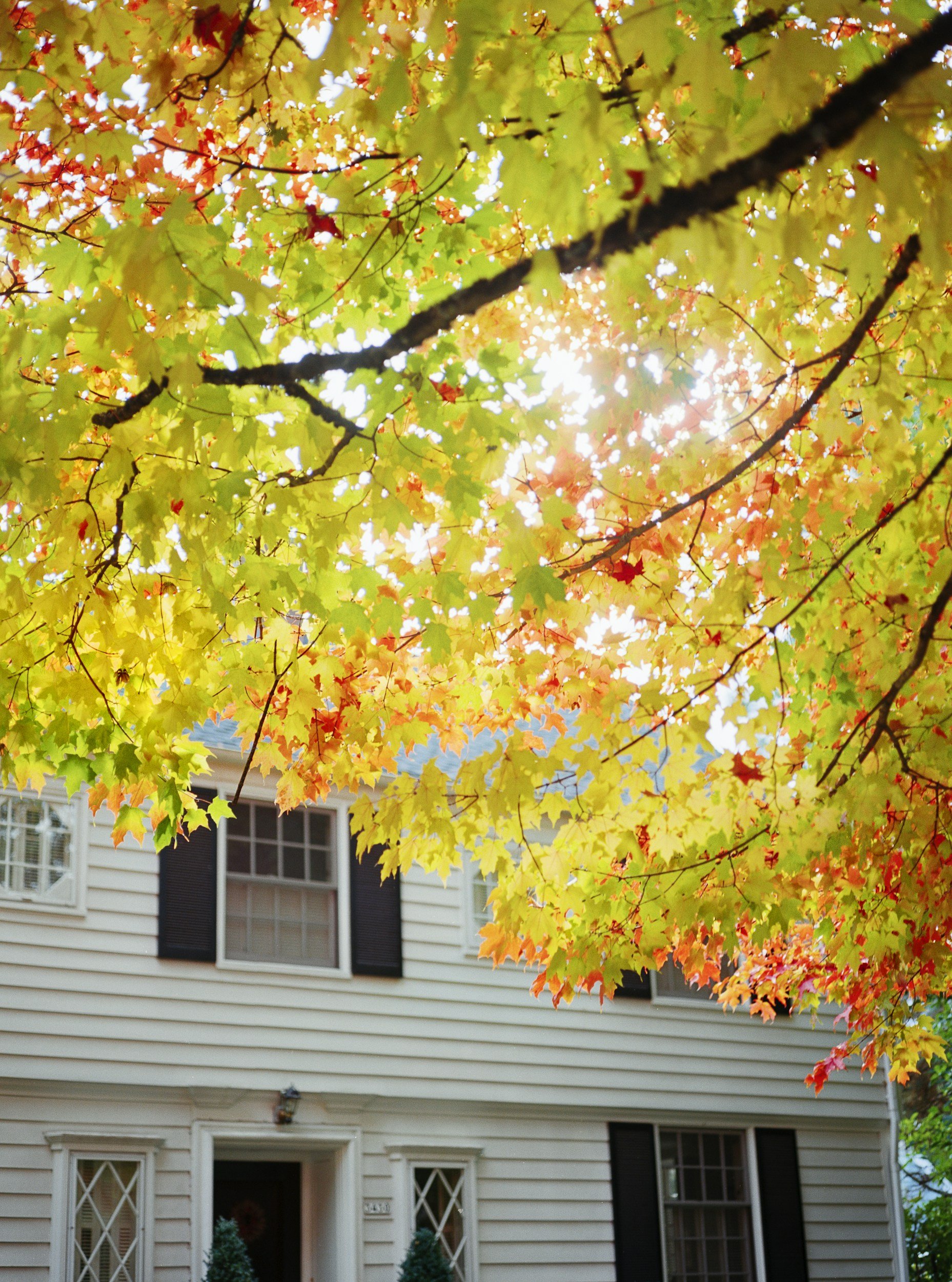 A historical Portland home in the fall which can benefit from the Portland Rooftop Solar Program and annual energy savings