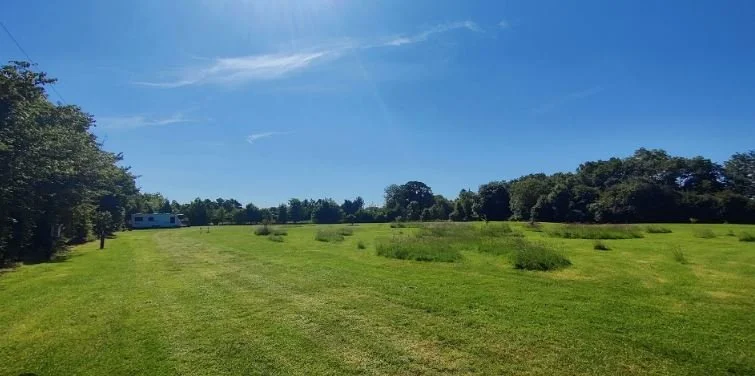 Lakeview Paddock, Grafham.