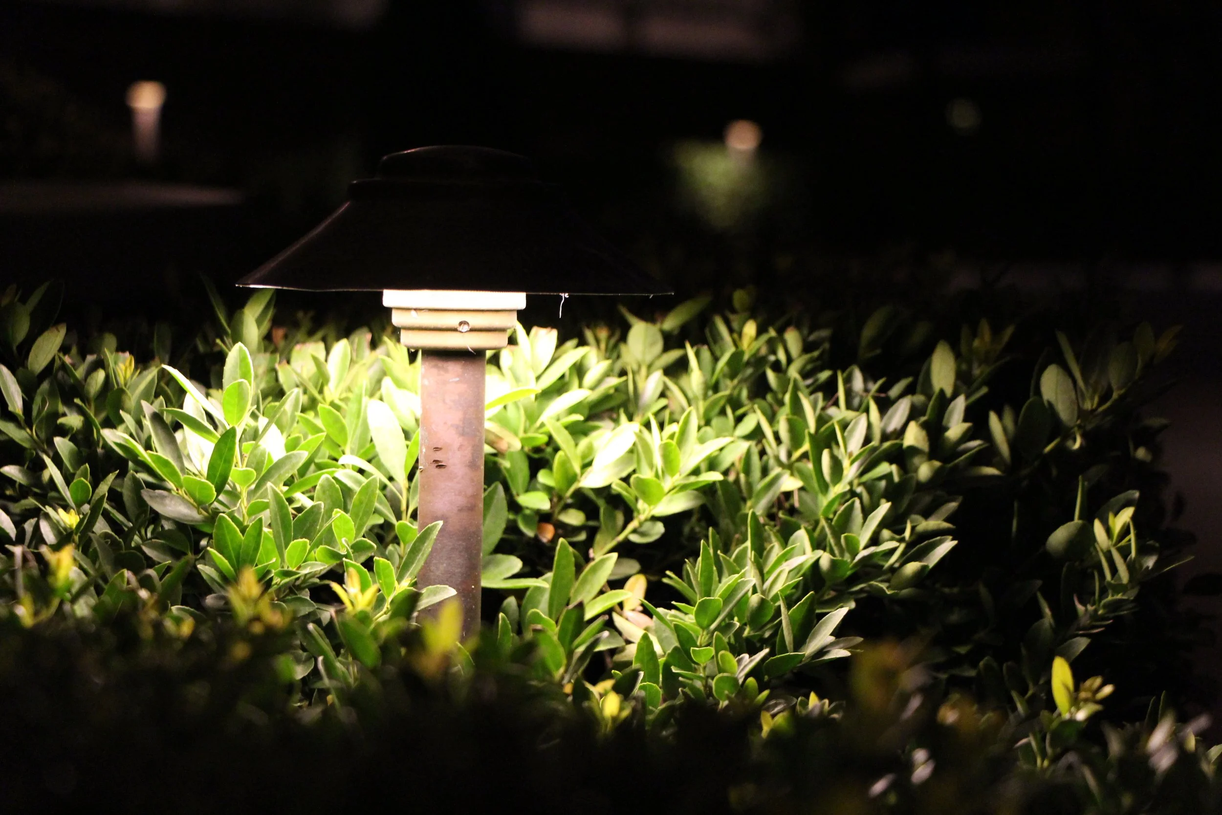 Brighten Up Your Winter:How Landscape Lighting Elevates Your Outdoor Space