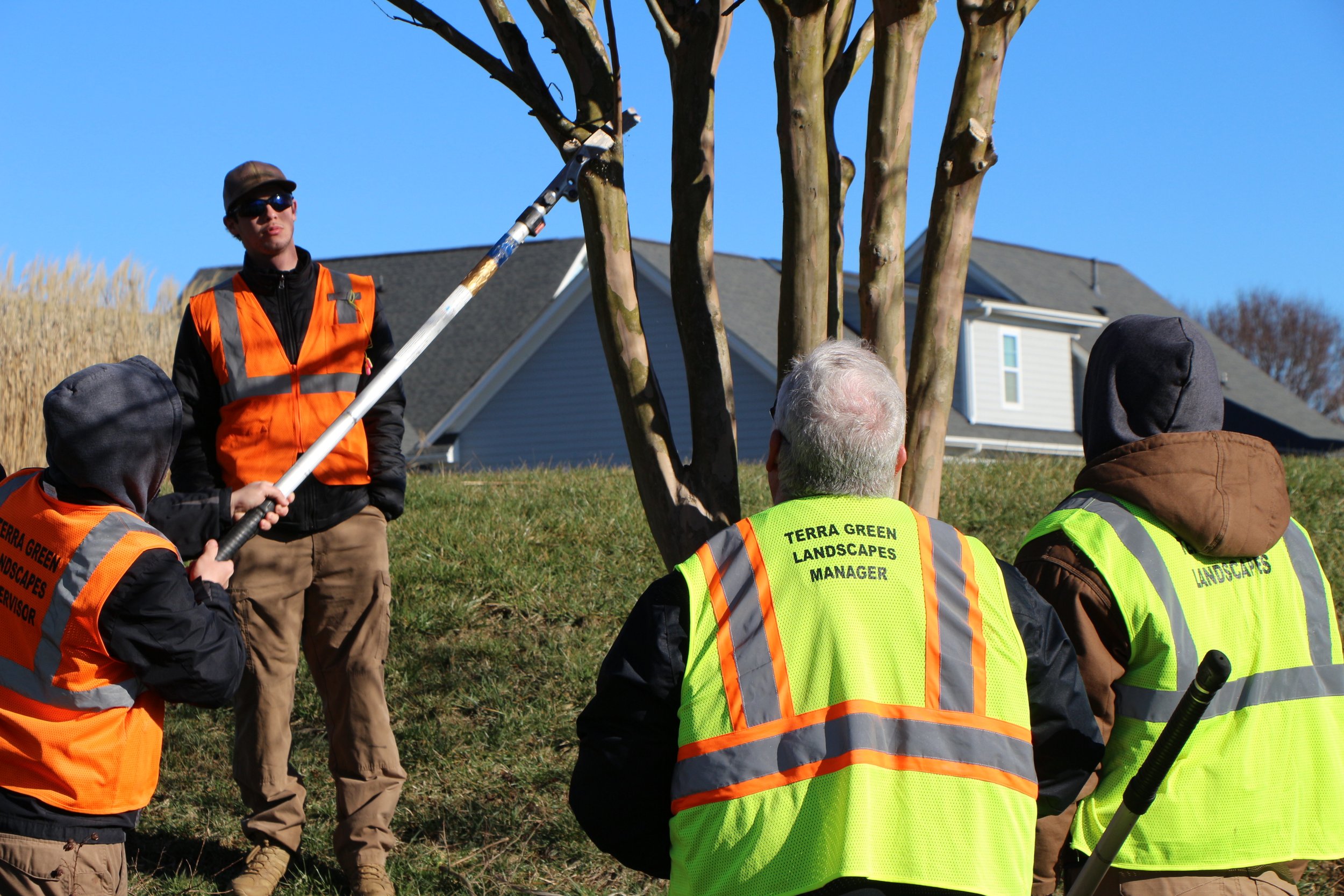 The Importance of Winter Pruning: Strengthening Plant Health During the Dormant Season