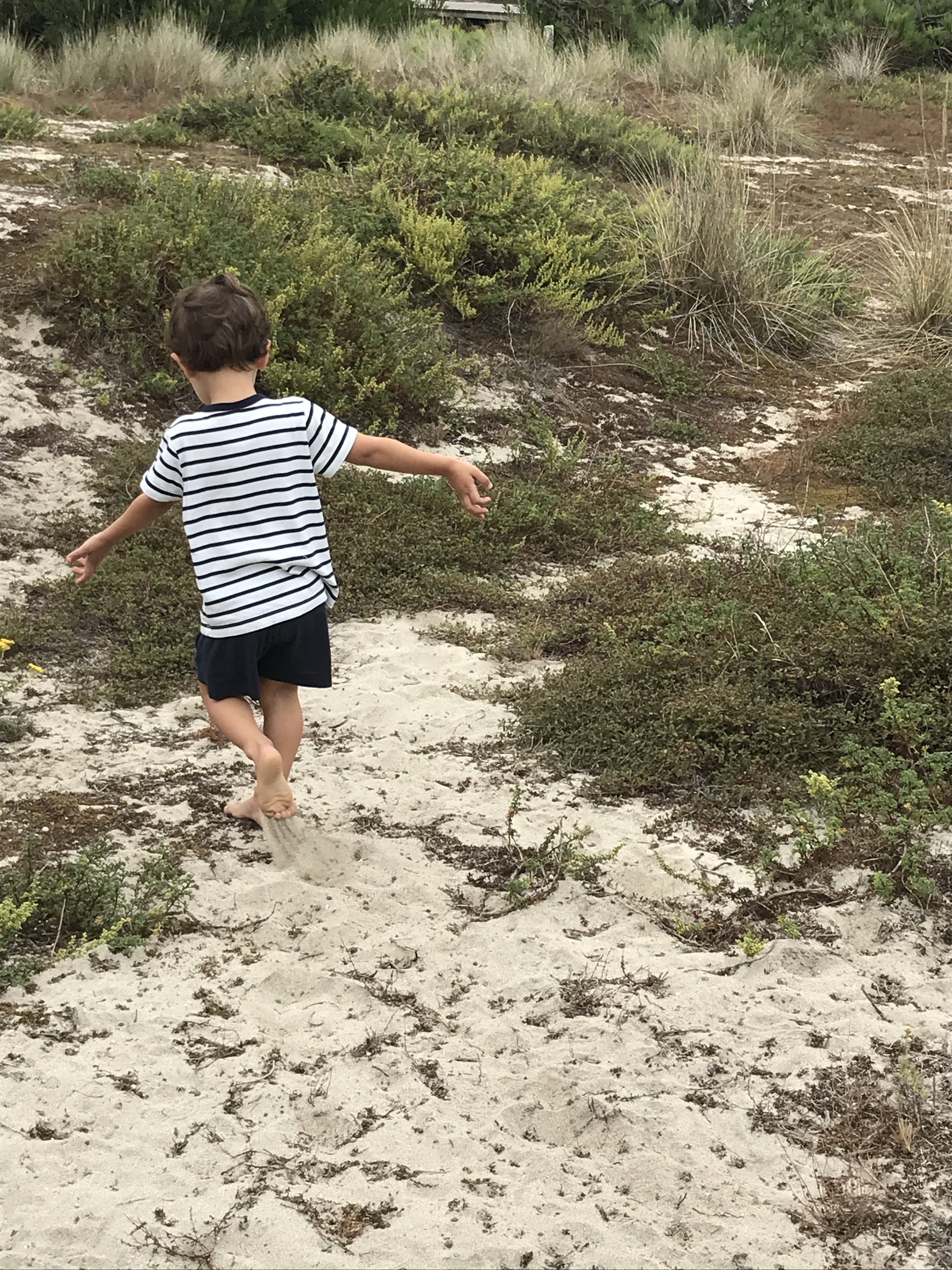 Pediatric Care in Portugal: Private Pediatrician or Family Doctor?