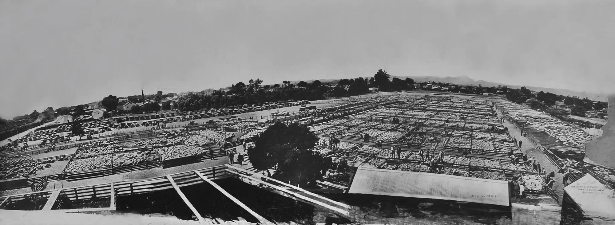 Historical black and white photo of a large indoor market with stalls and vendors, possibly a fish market, with a dirt path and a few people walking around.