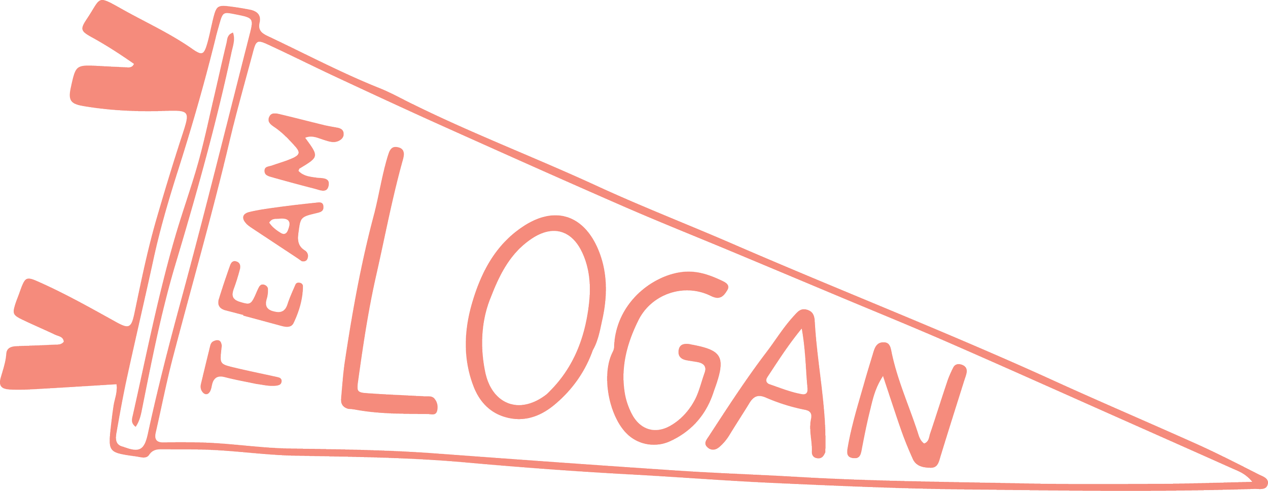 Stylized pink and black pennant flag with the words 'TEAM LOGAN'.