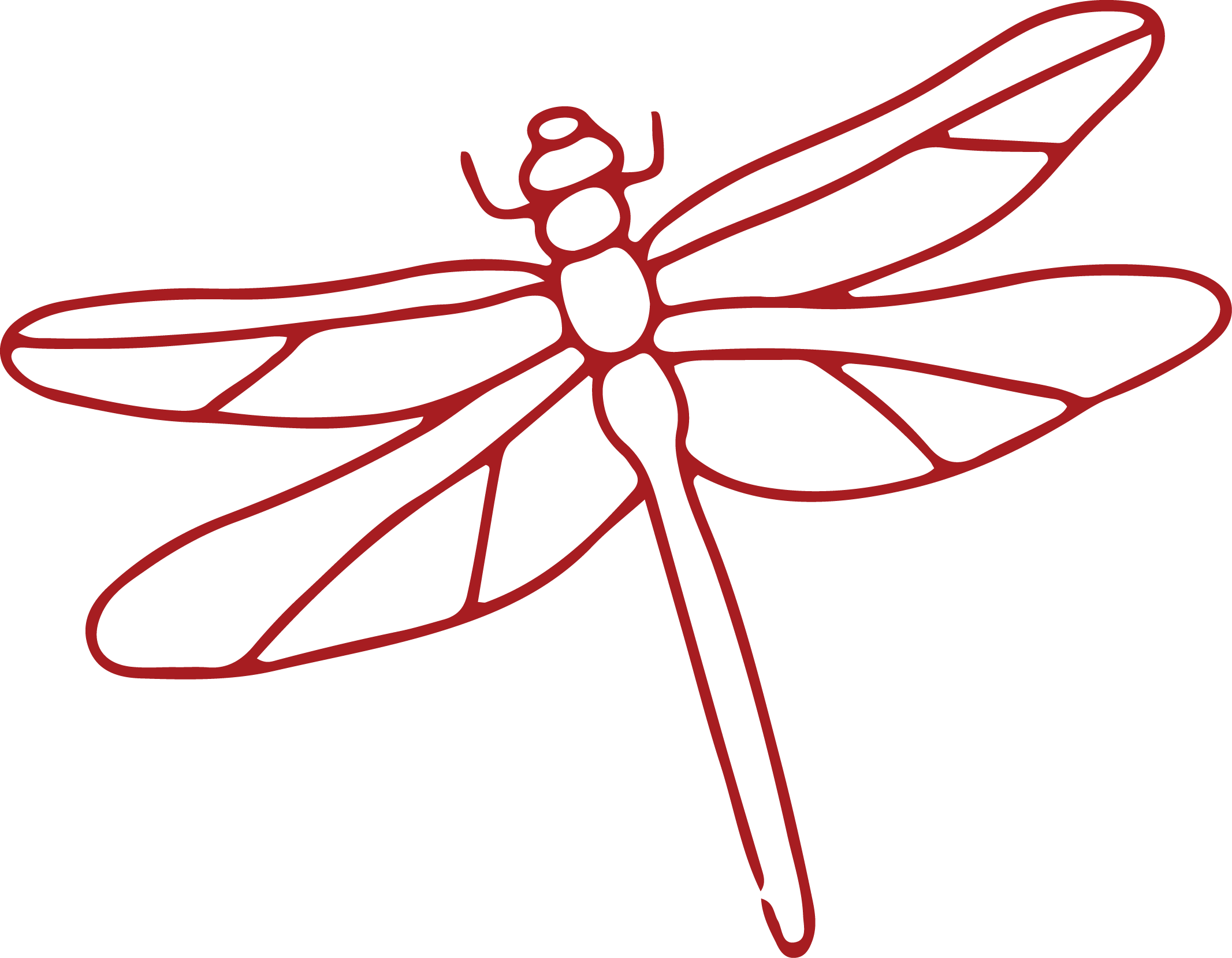 Red outline of a dragonfly with detailed wings and body on a black background.