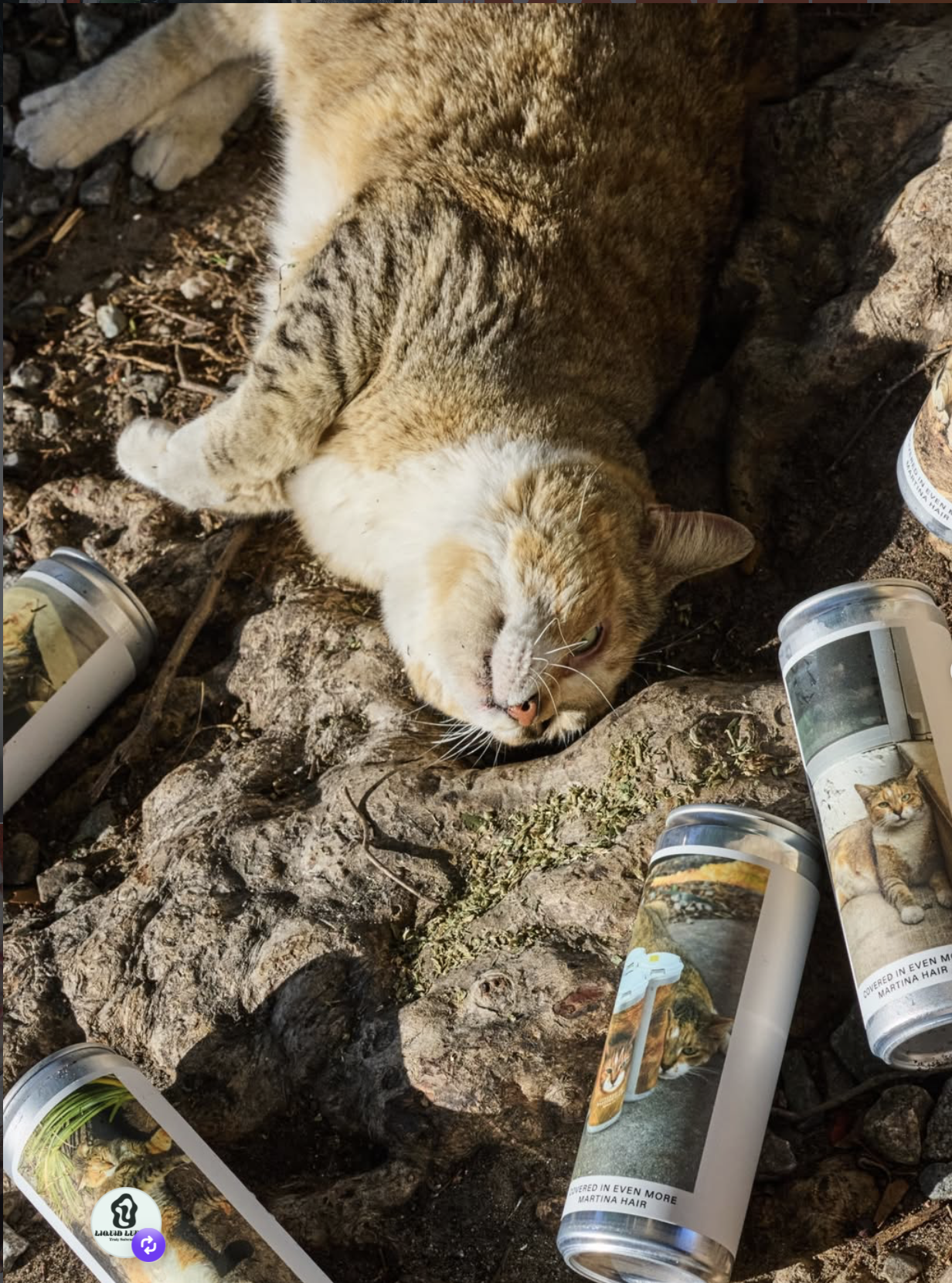 Screenshot 2026-04-24 at 10.16.36 PM.png