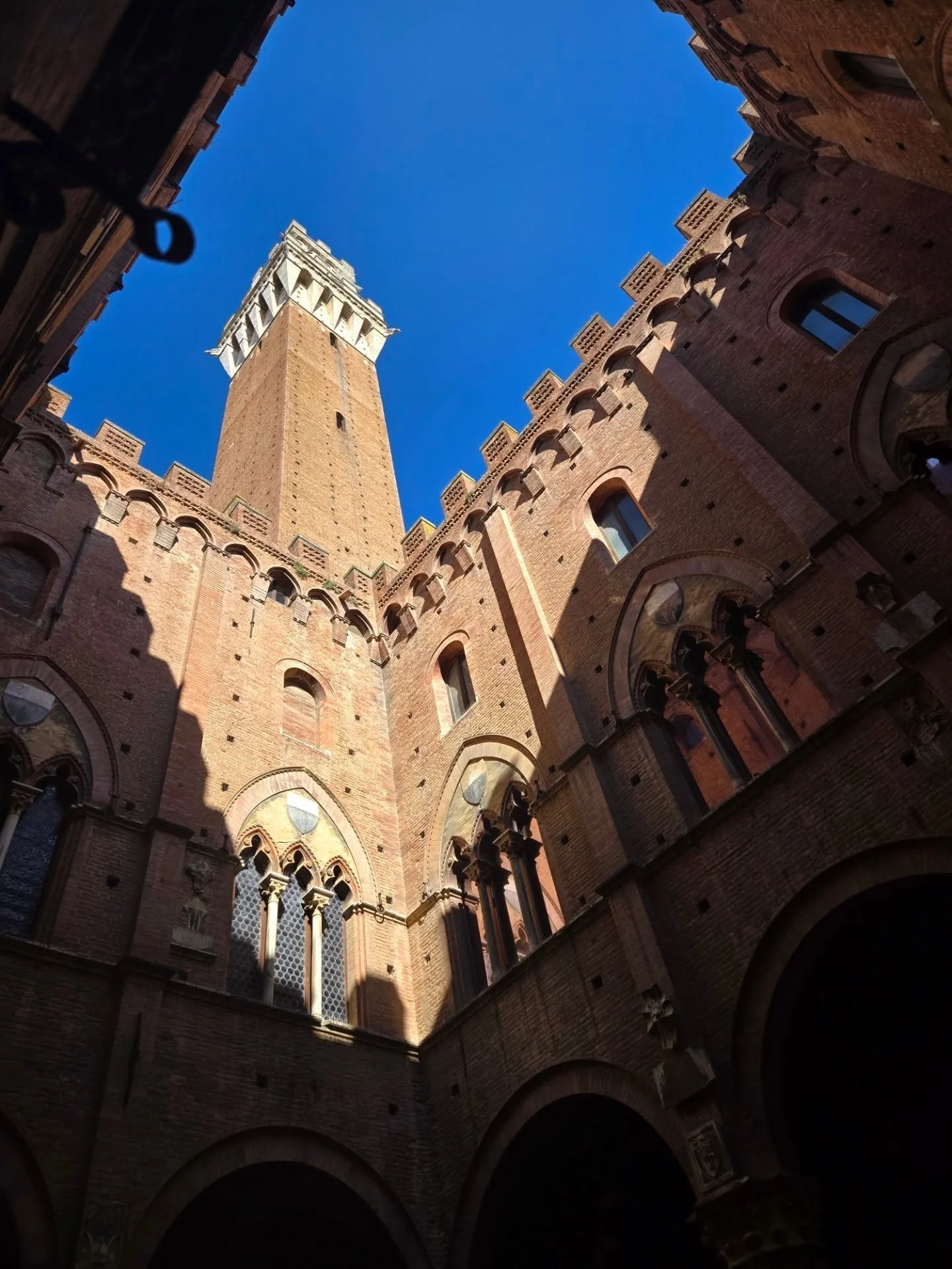 An absolutely bittersweet finish to my time in Italy took me back through Chianti Classico, Cortona & the Eternal City. 😭🍷
✨️Vertically Challenged @ilcampinowinery 
.....over 7 generations of winemaking history, with 3 generations still active