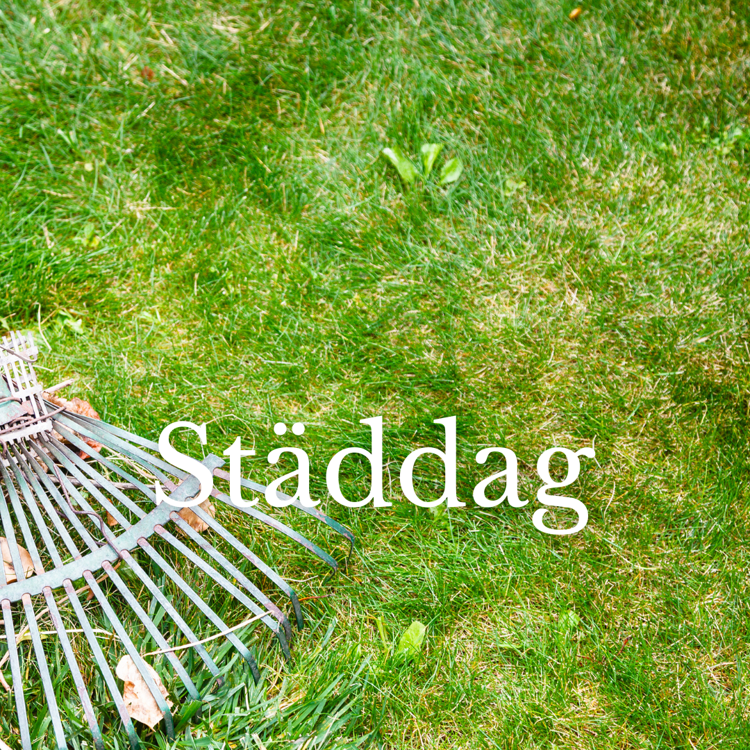 Städdag