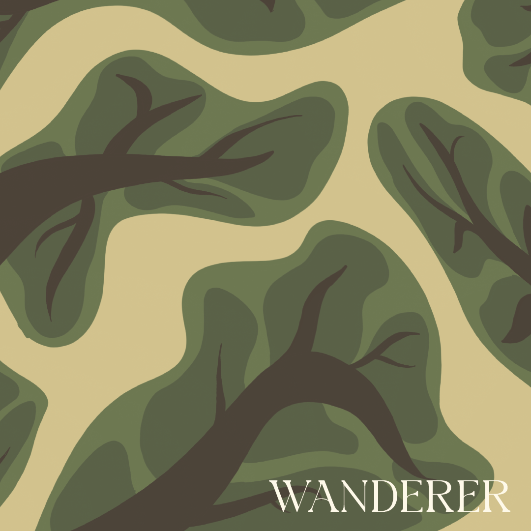Wanderer