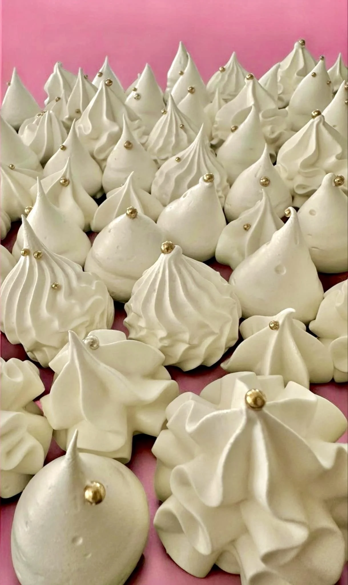 IMG_1230.jpeg