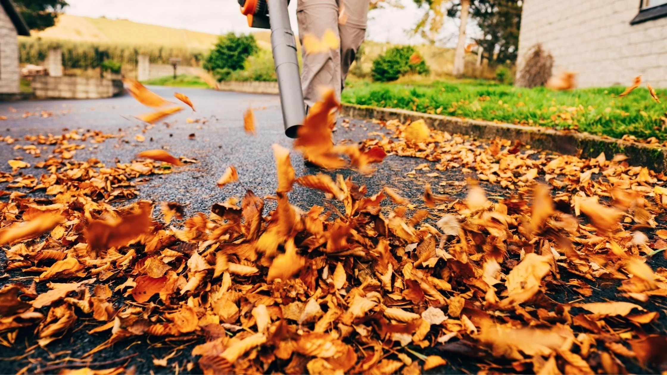 A person standing on a sidewalk using a leaf blower to clear fallen autumn leaves.