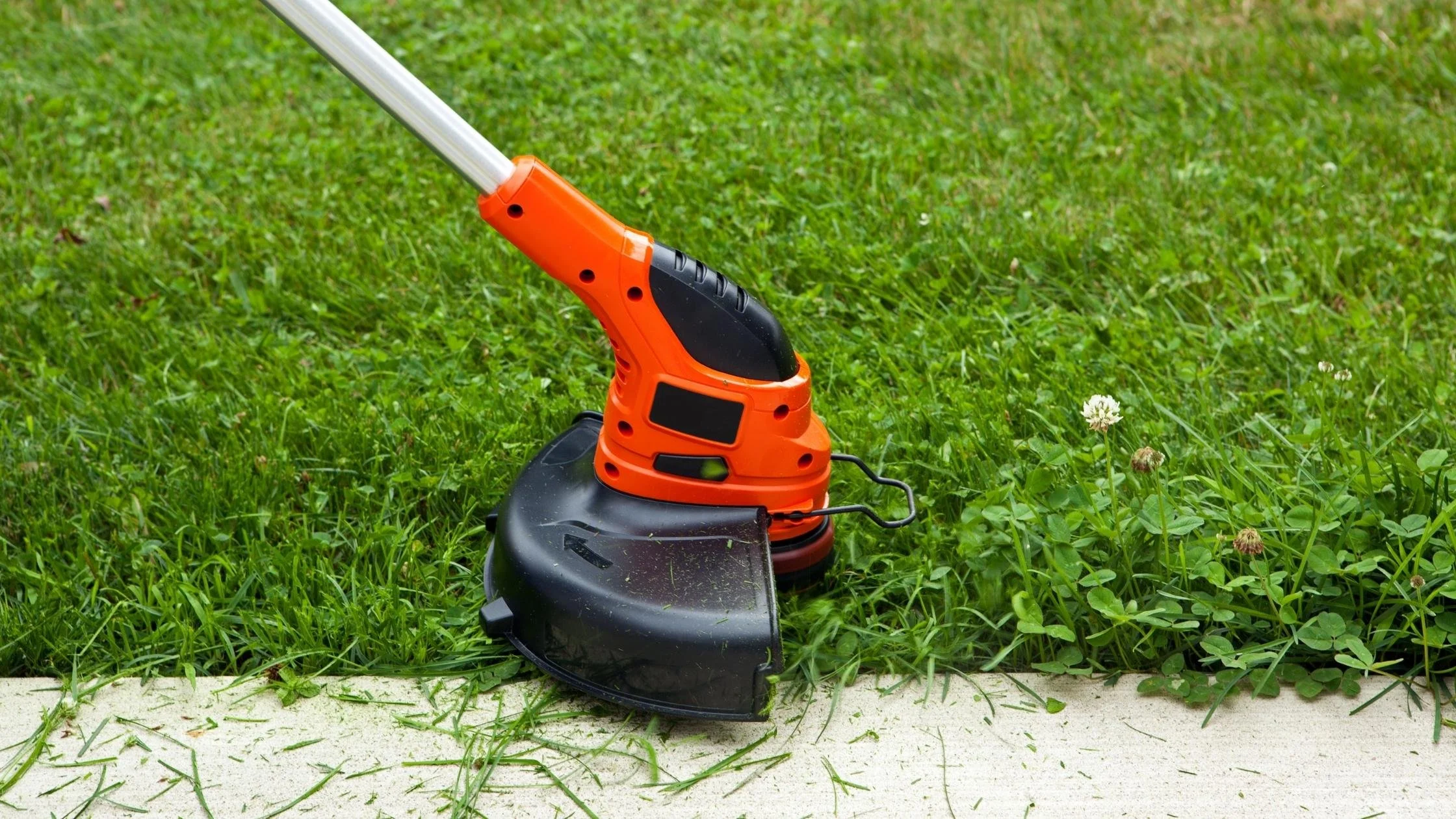 An orange and black string trimmer cutting grass beside a concrete sidewalk on a lawn.