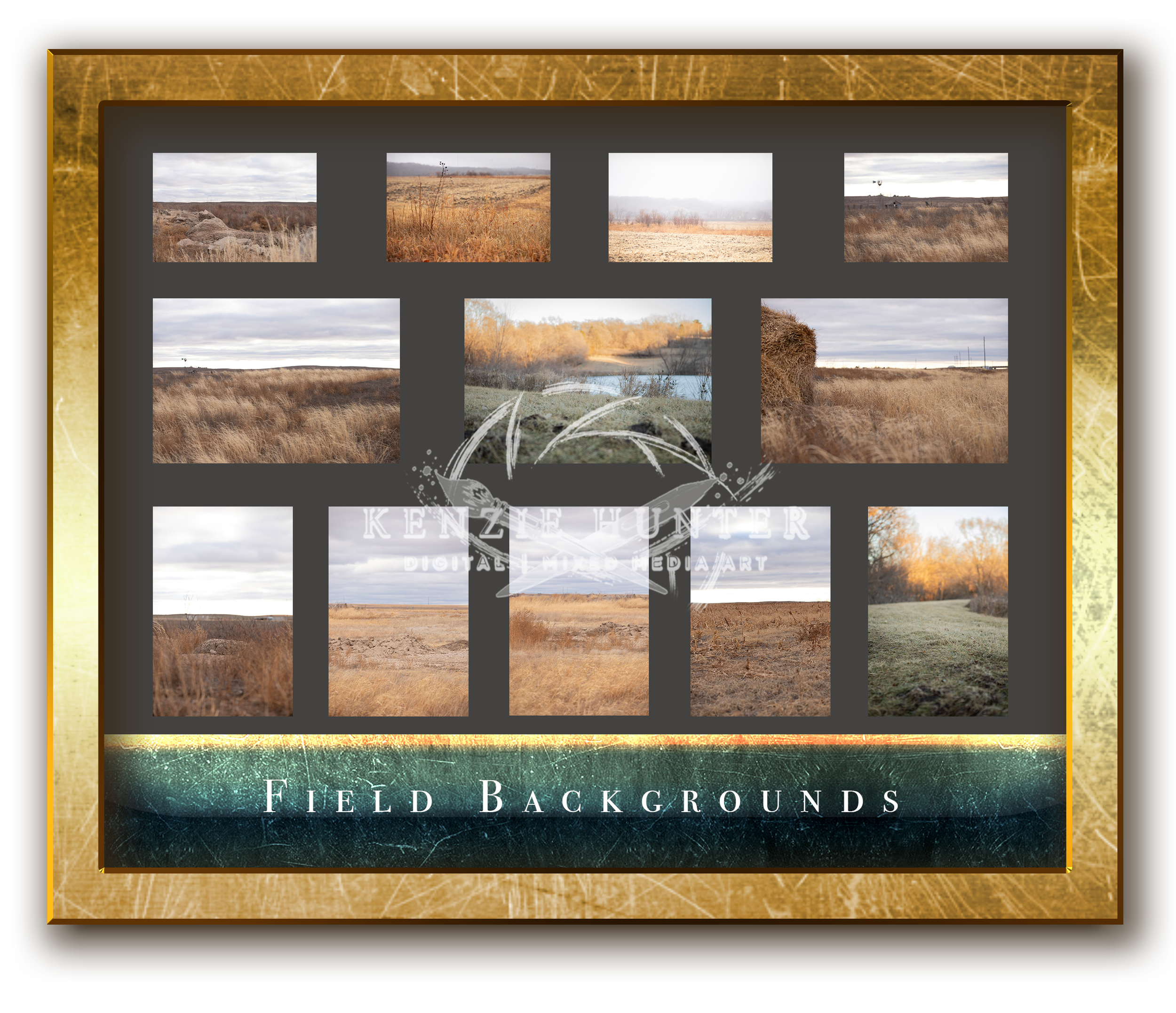 fieldbg.png