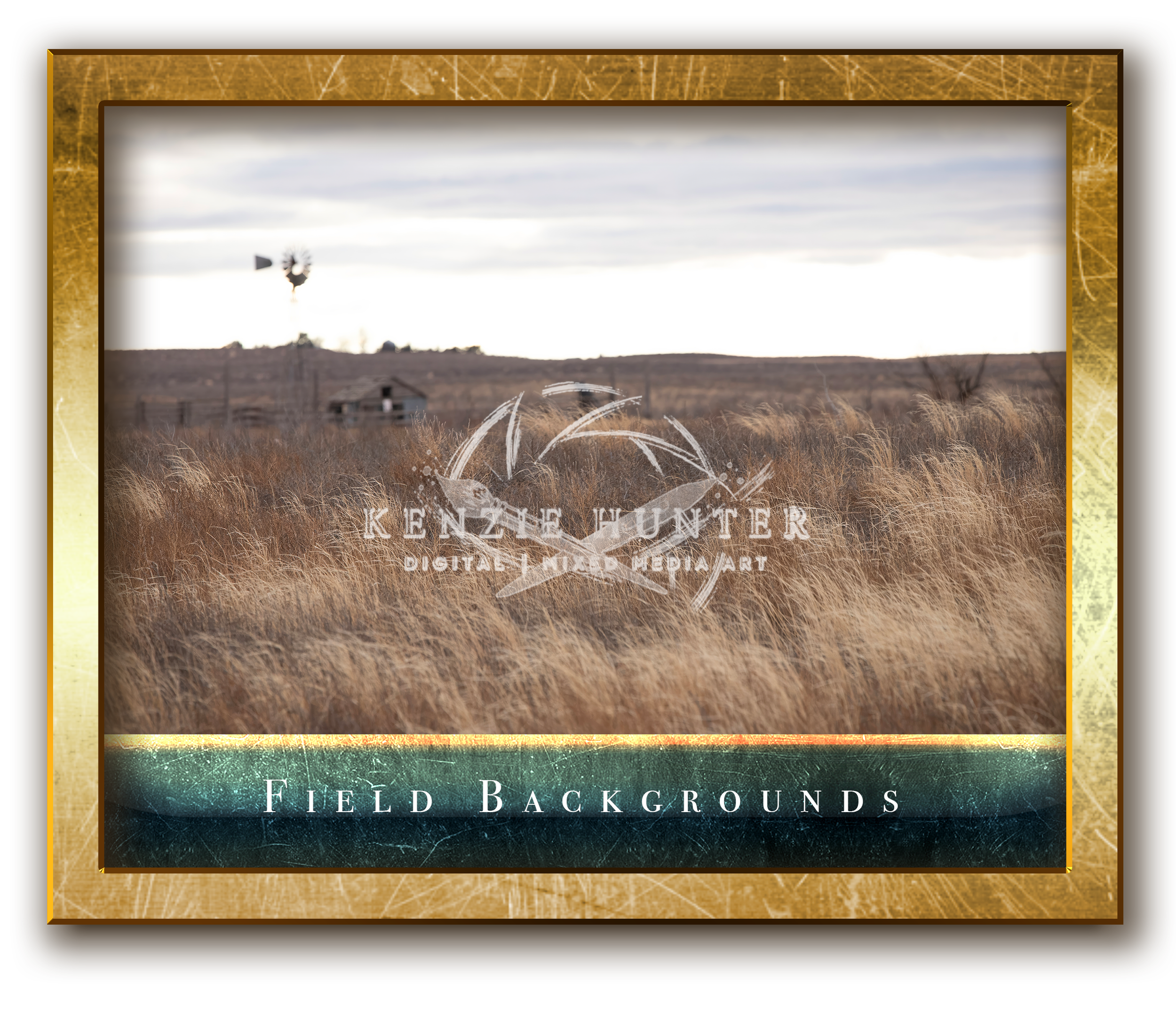 Field Backgrounds