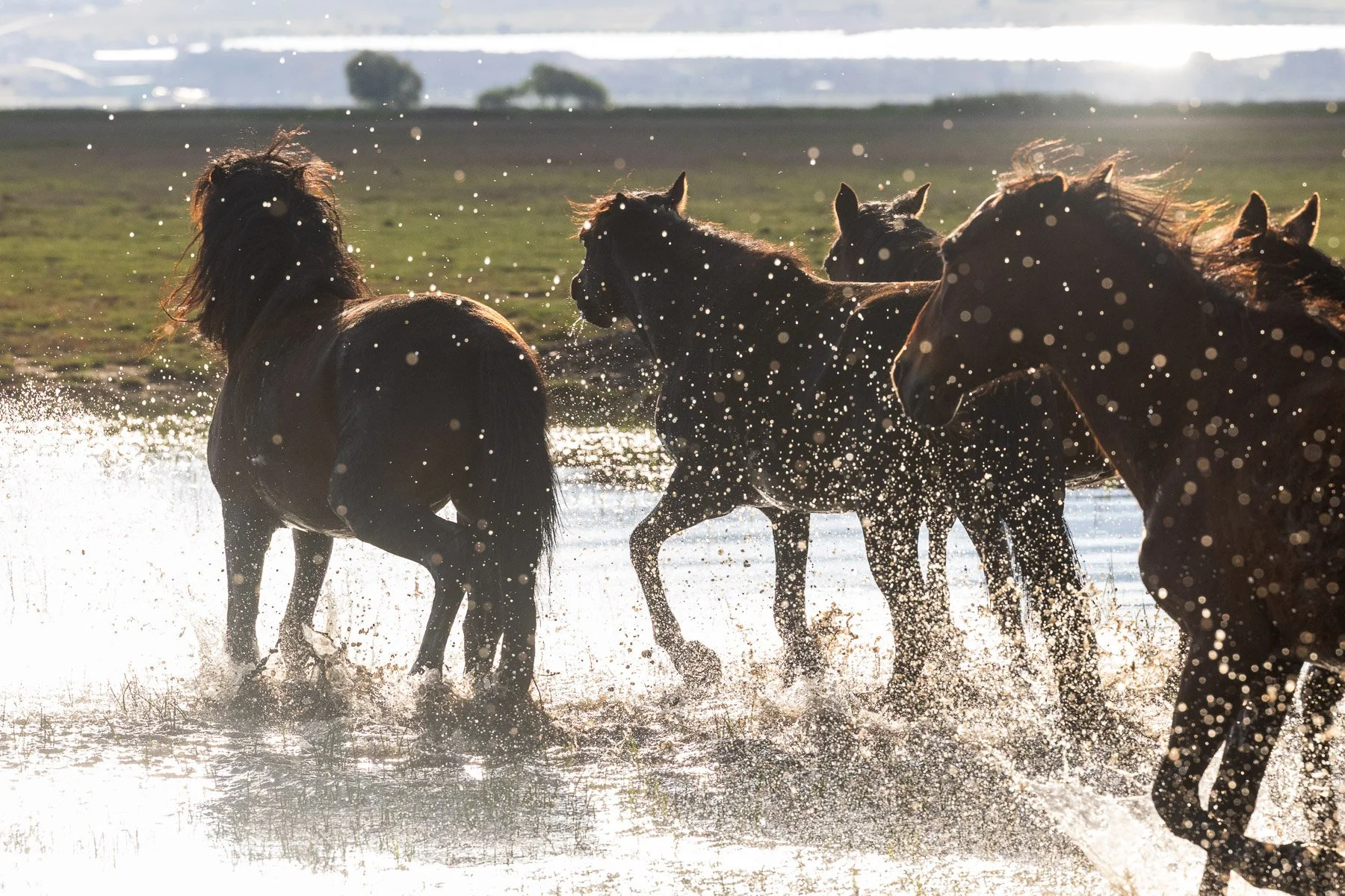 09 Sharon Wiley - Cappadocia.jpg