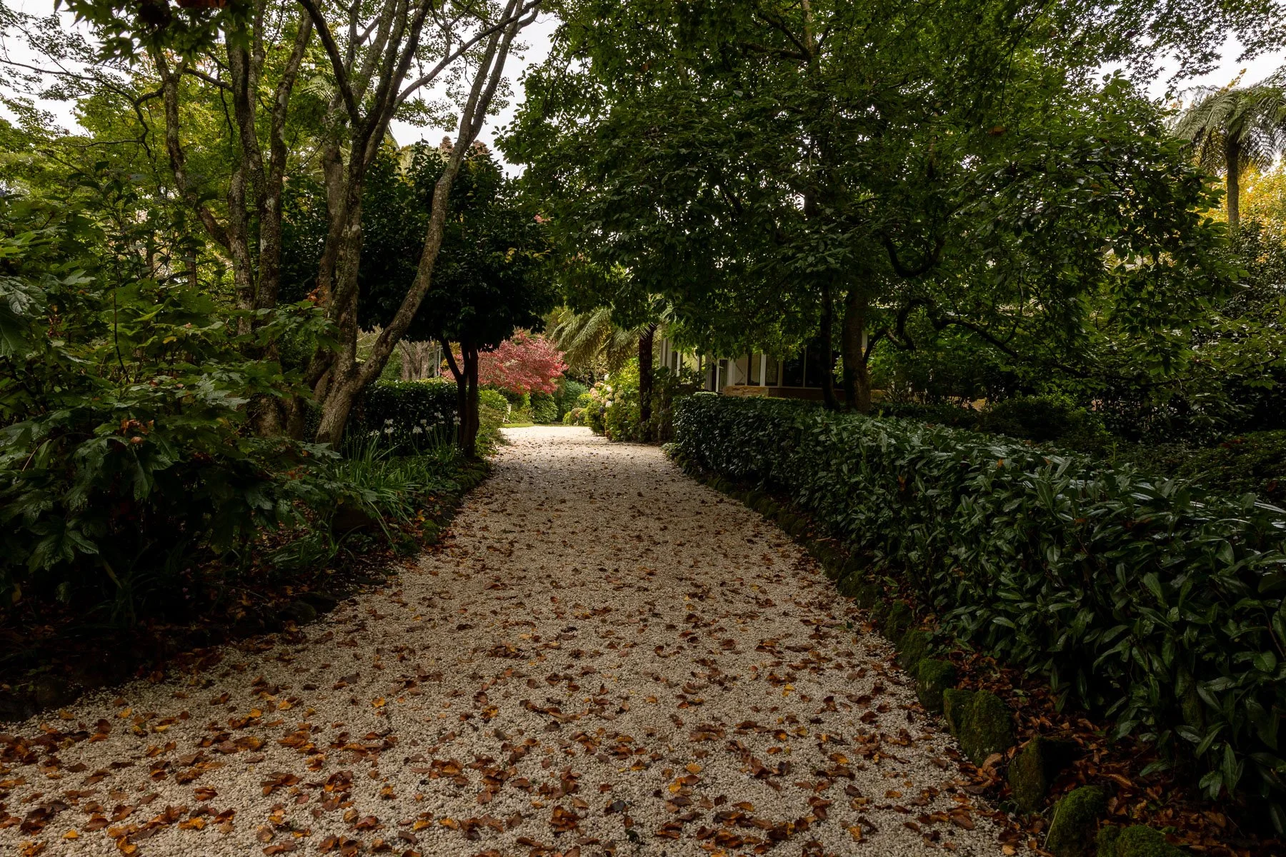 04 Sharon Wiley - Sefton Hall Garden.jpg