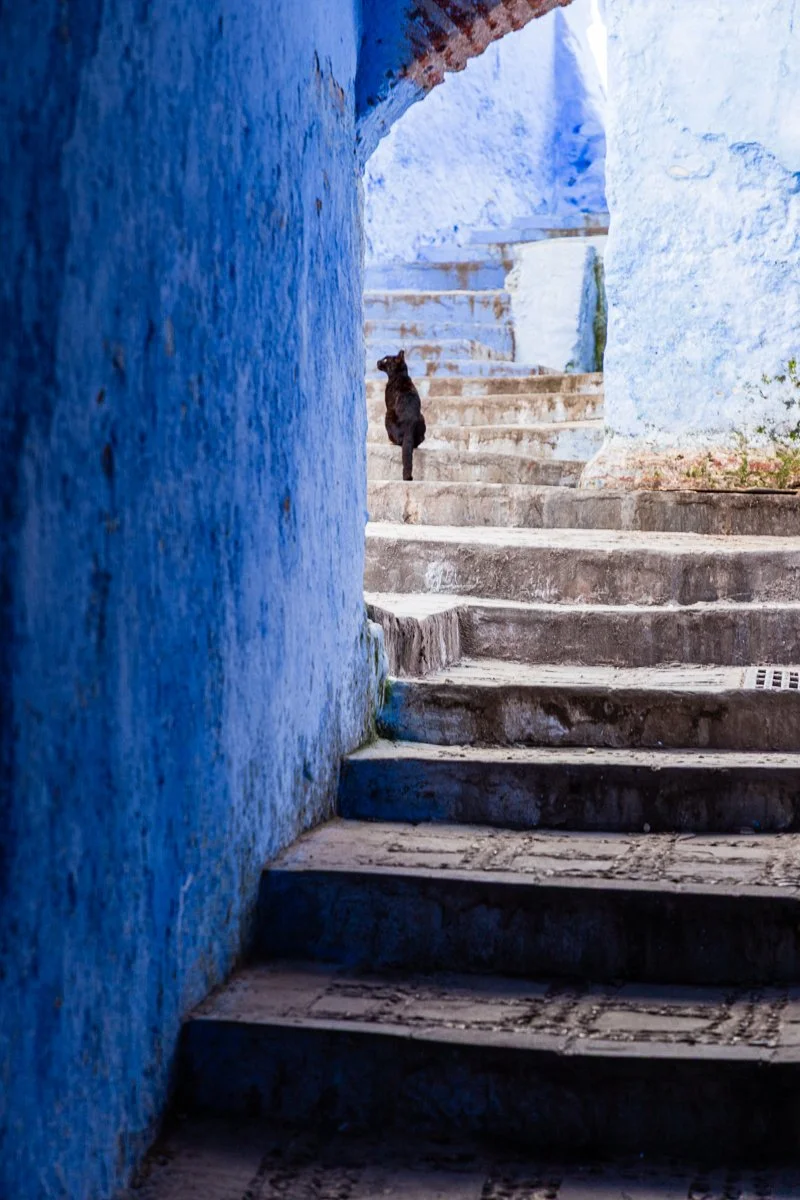 09 Sharon Wiley - Chefchaouen.jpg