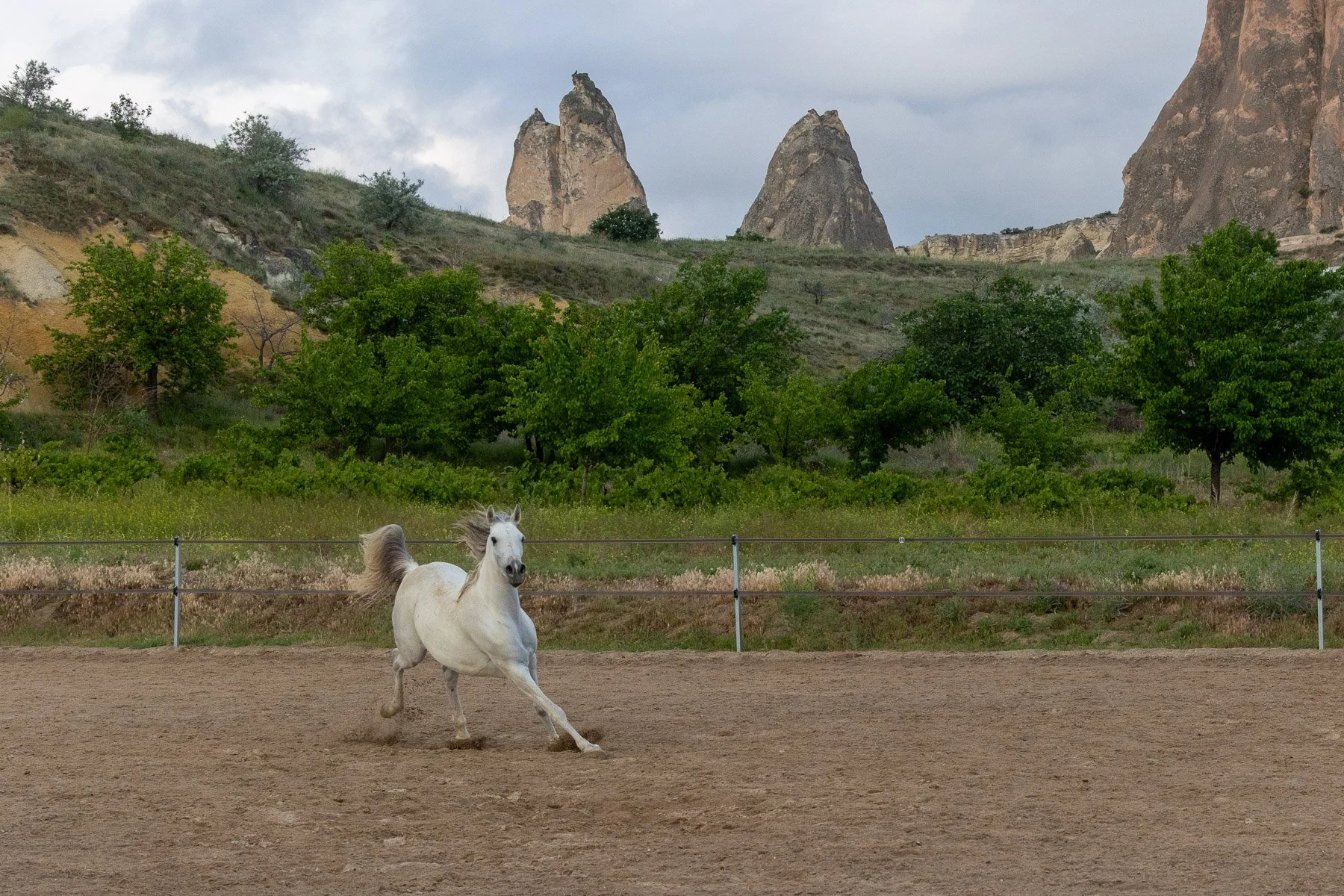 01 Sharon Wiley - Cappadocia.jpg