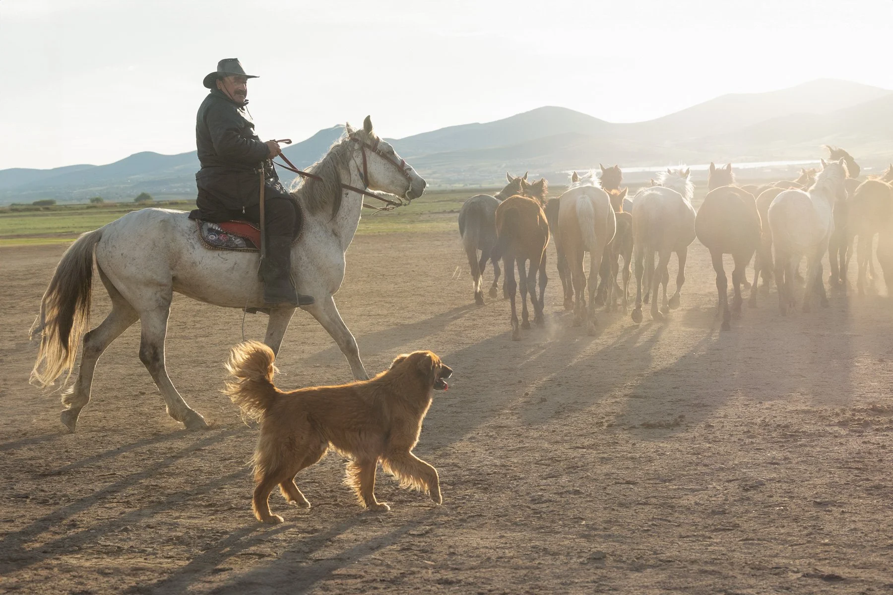 18 Sharon Wiley - Cappadocia.jpg