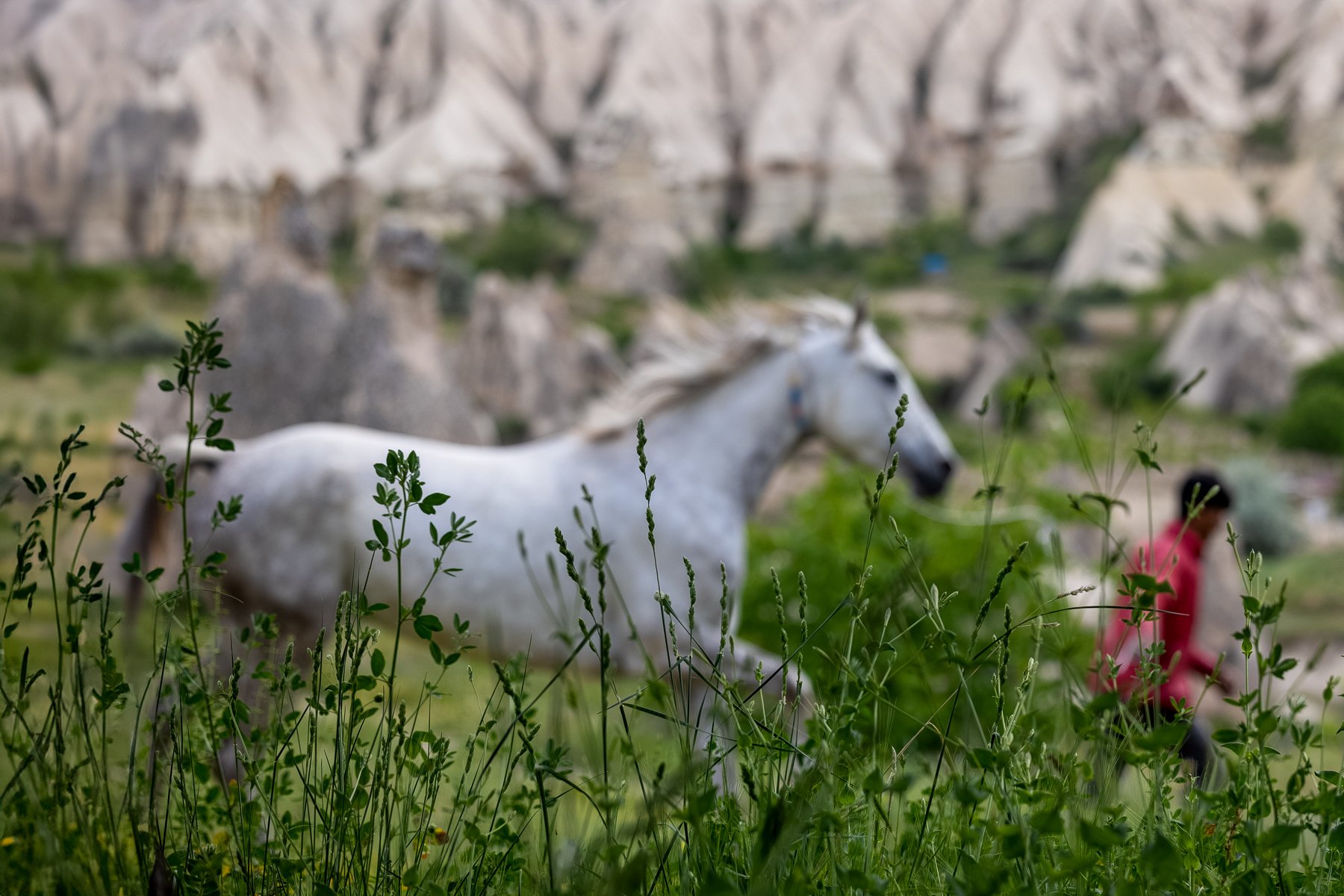 12 Sharon Wiley - Cappadocia.jpg