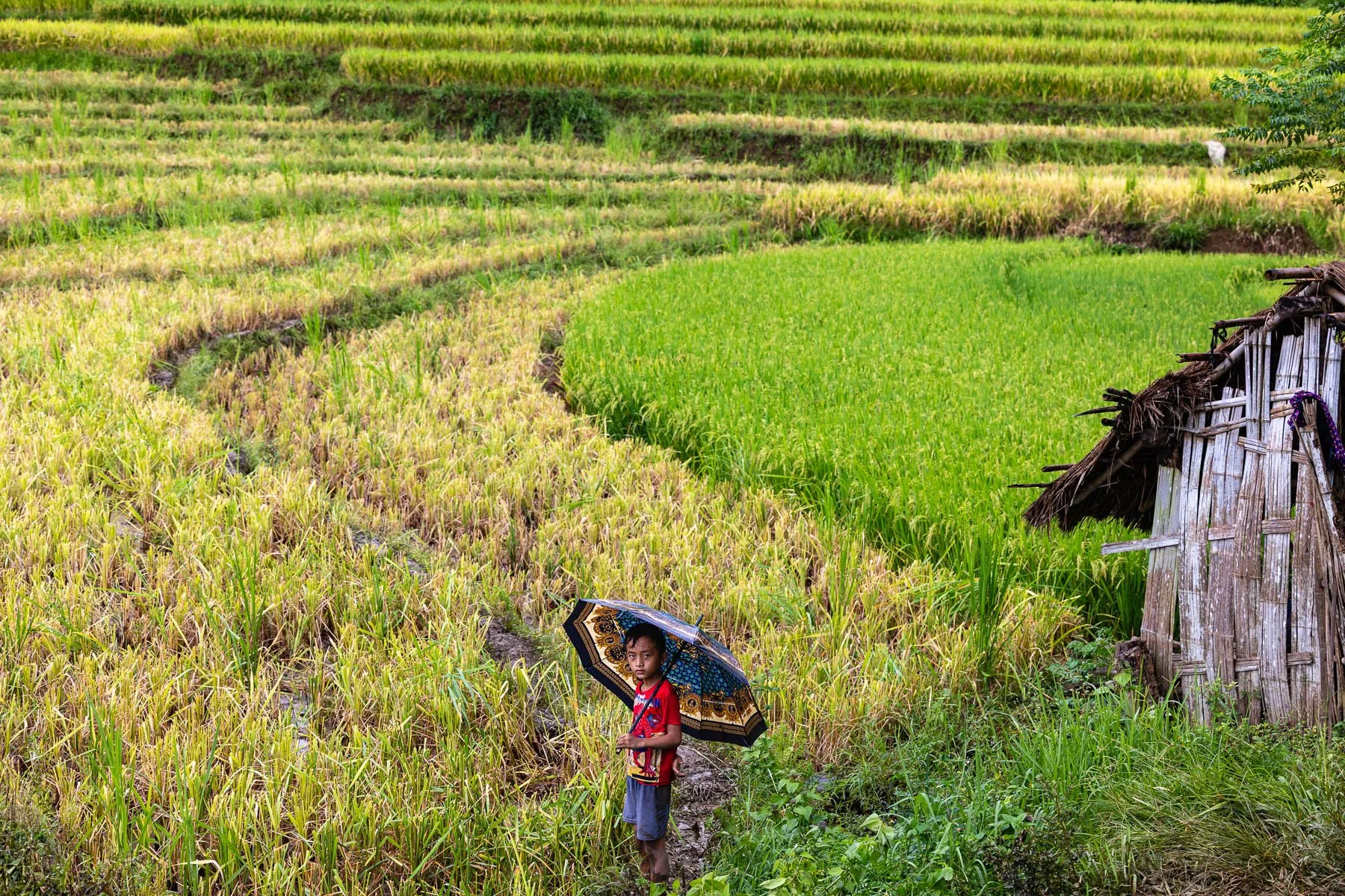 10 Sharon Wiley -_.jpg