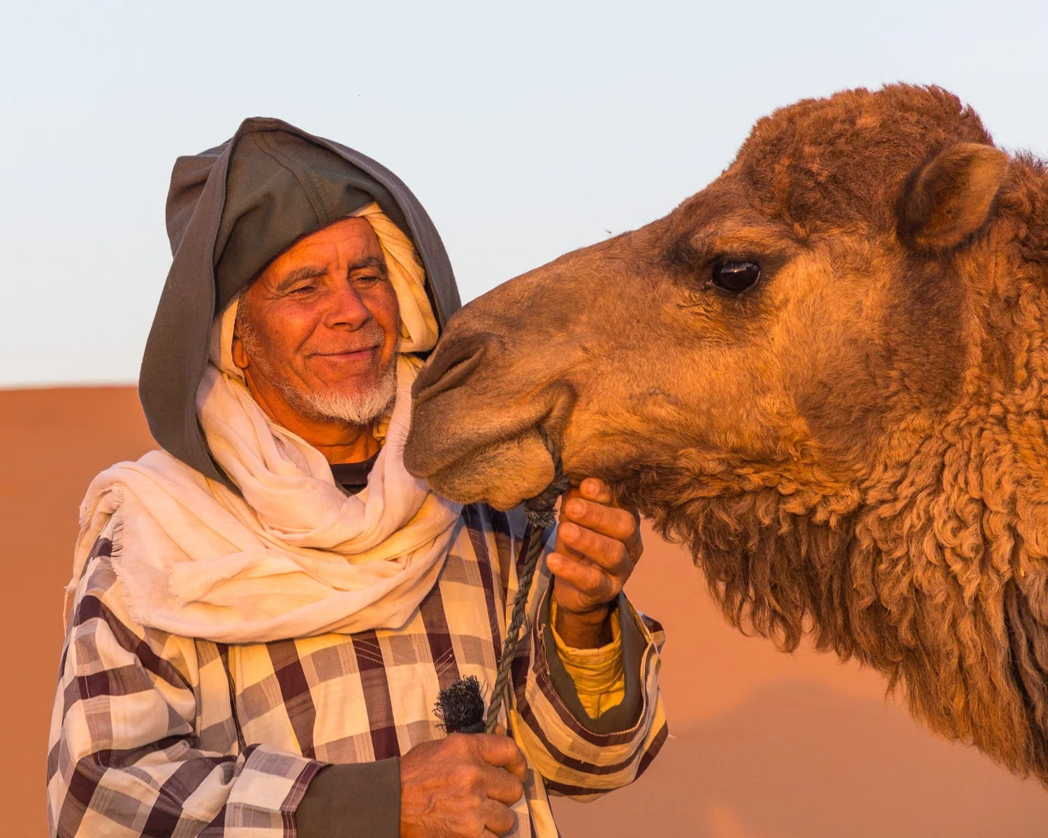 17 Sharon Wiley -_.jpg