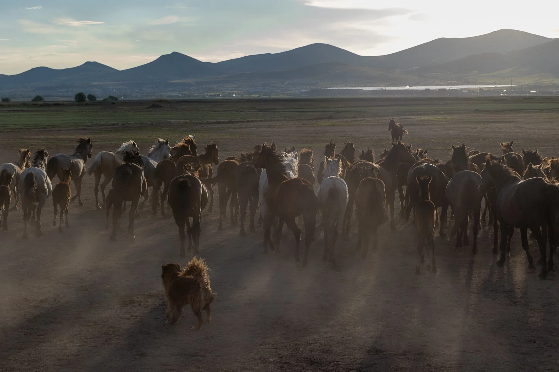 19 Sharon Wiley - Cappadocia.jpg