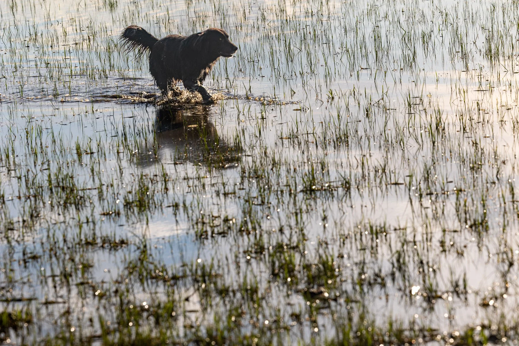 01 Sharon Wiley - Cappadocia.jpg