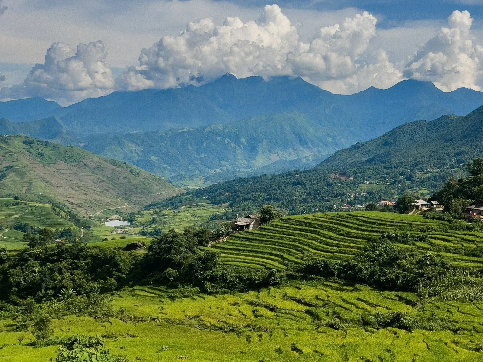 13 Sharon Wiley -_.jpg