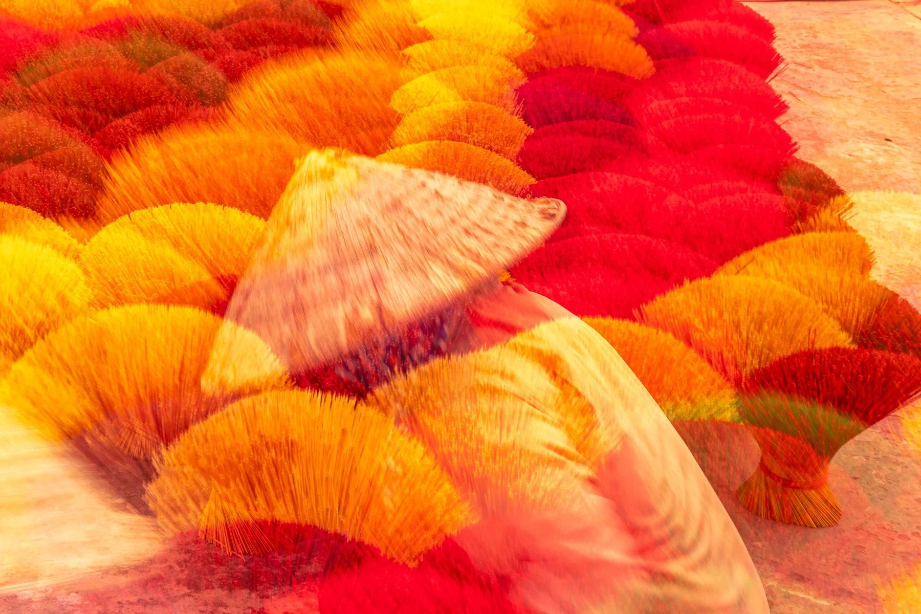 06 Sharon Wiley - Feast of Colour.jpg